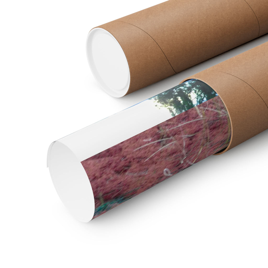 Nature-Inspired Matte Vertical Posters, Landscape Wall Art, Home Decor, Gift for Nature Lovers, Outdoor Aesthetic