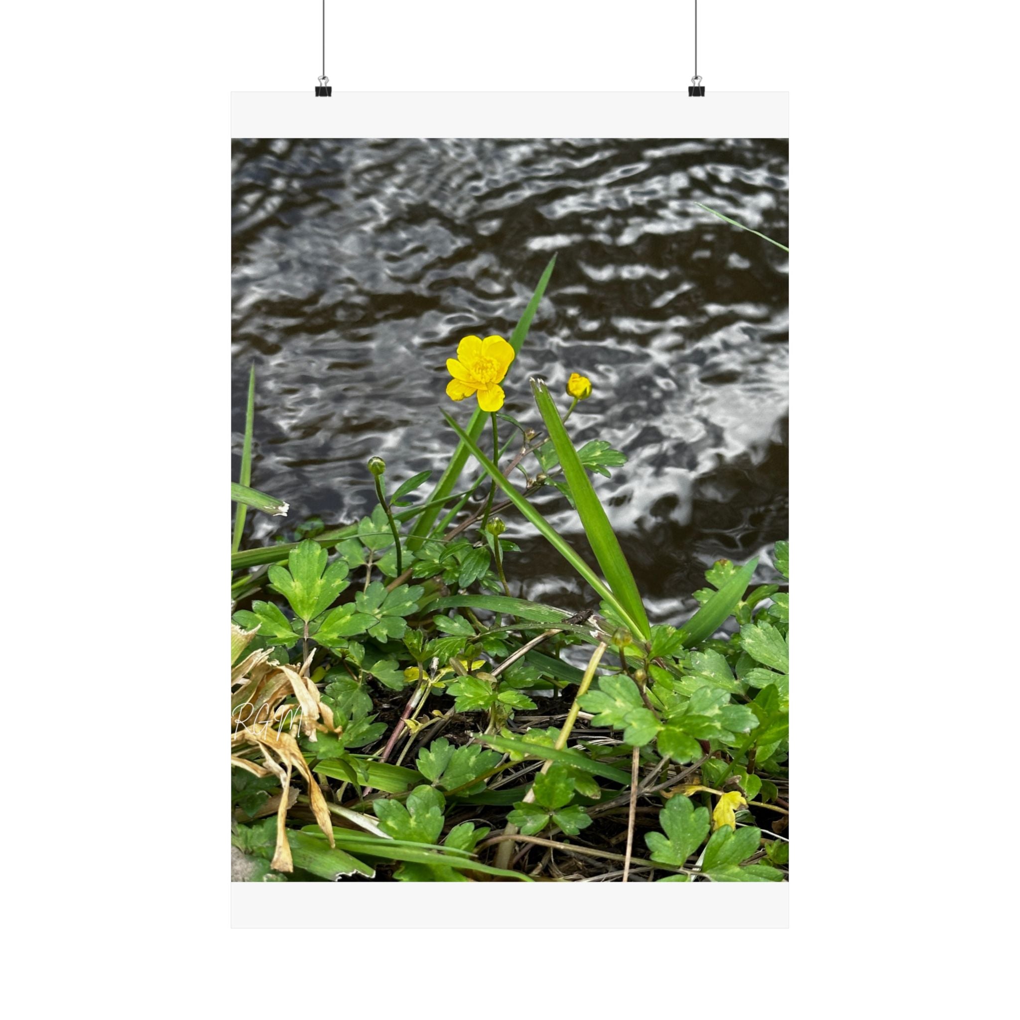 Nature-Inspired Matte Vertical Posters | Vibrant Floral Art for Home Decor, Gift for Nature Lovers, Wall Art, Eco-Friendly Decor