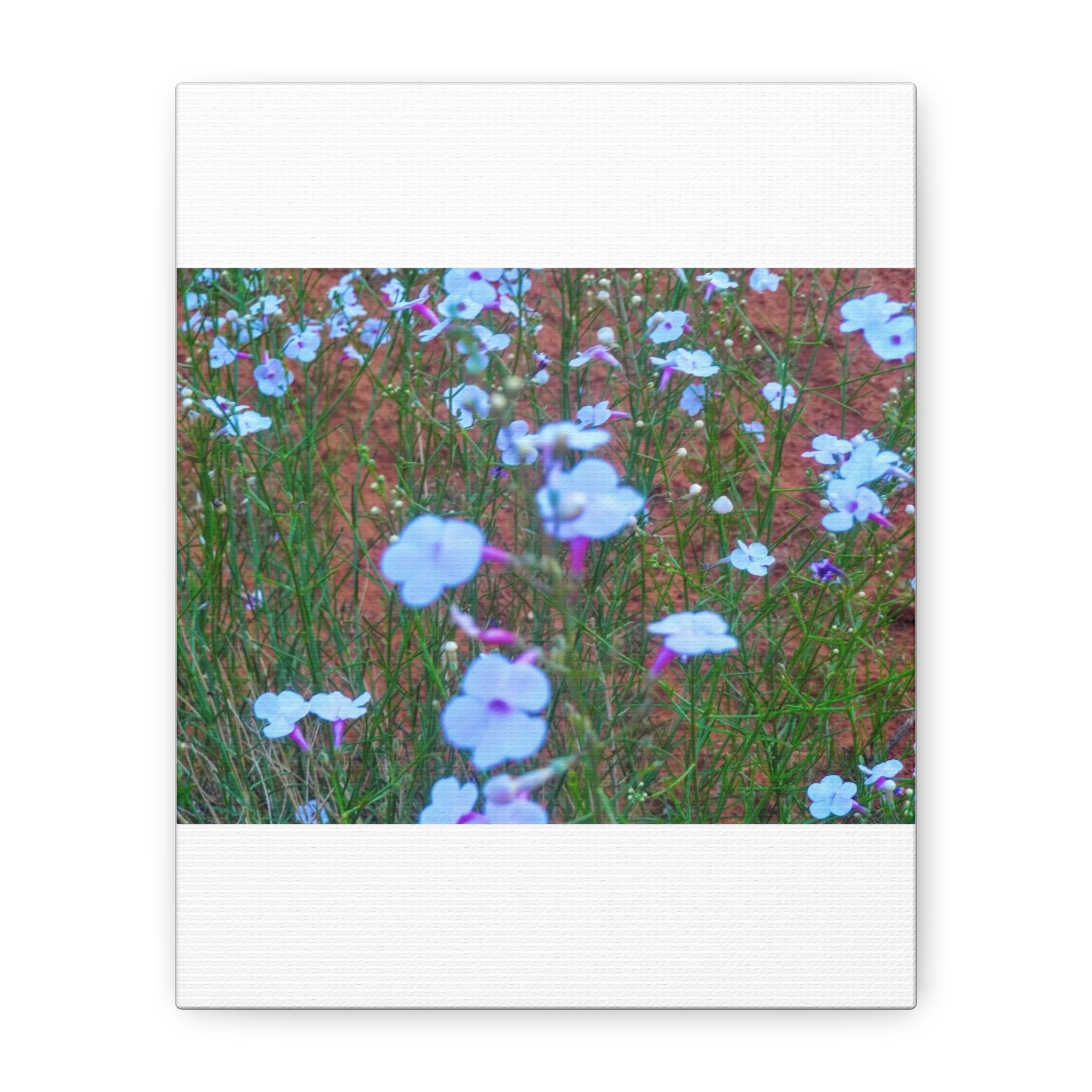Floral Canvas Wall Art, Home Decor, Wall Hanging, Gift Idea, Nature Art, Flower Print