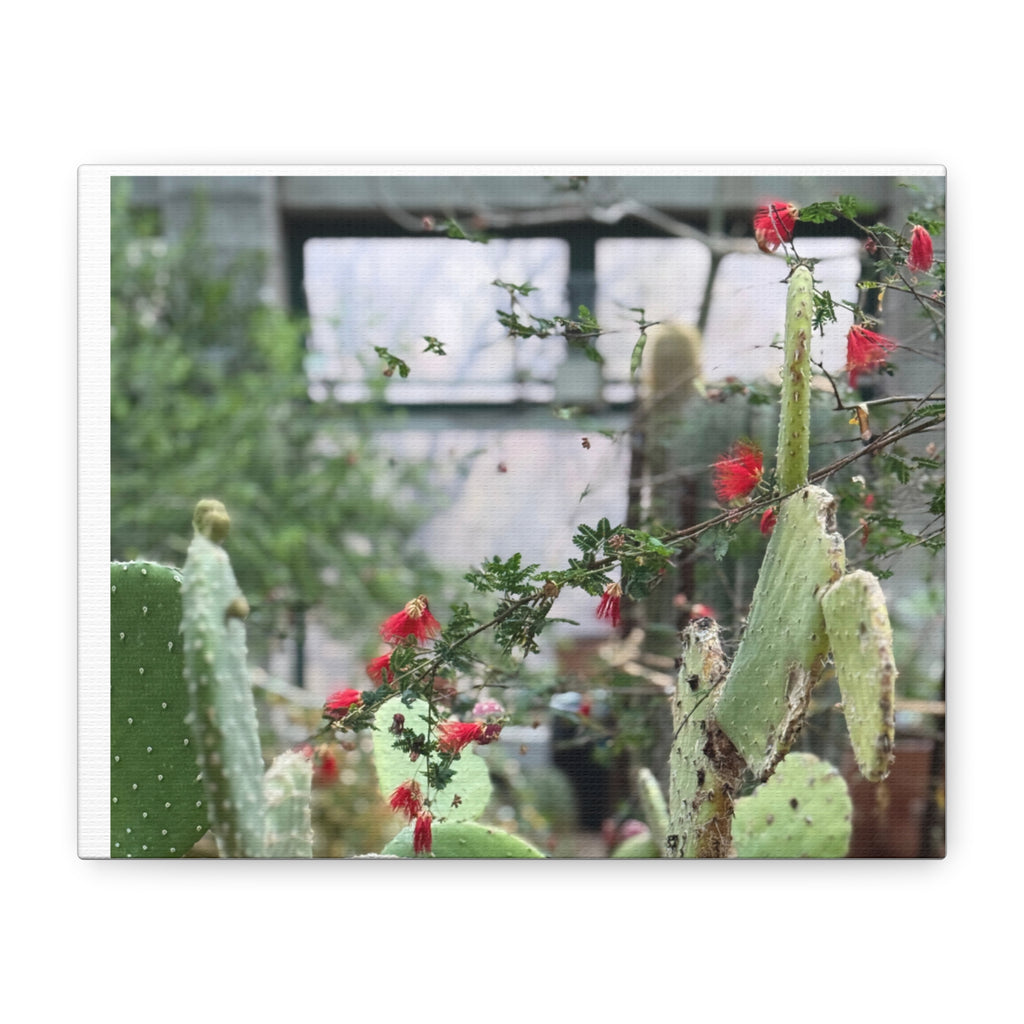 Cactus Wall Art Print, Nature Home Decor, Bohemian Style Artwork, Botanical Gift, Succulent Canvas