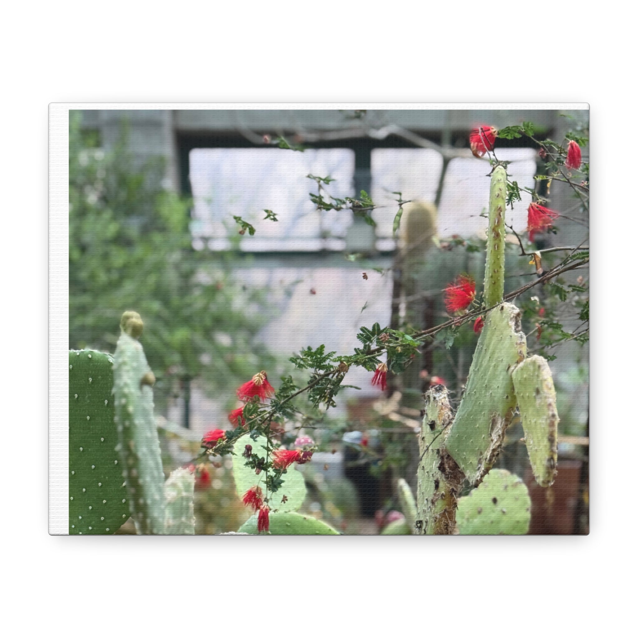 Cactus Wall Art Print, Nature Home Decor, Bohemian Style Artwork, Botanical Gift, Succulent Canvas