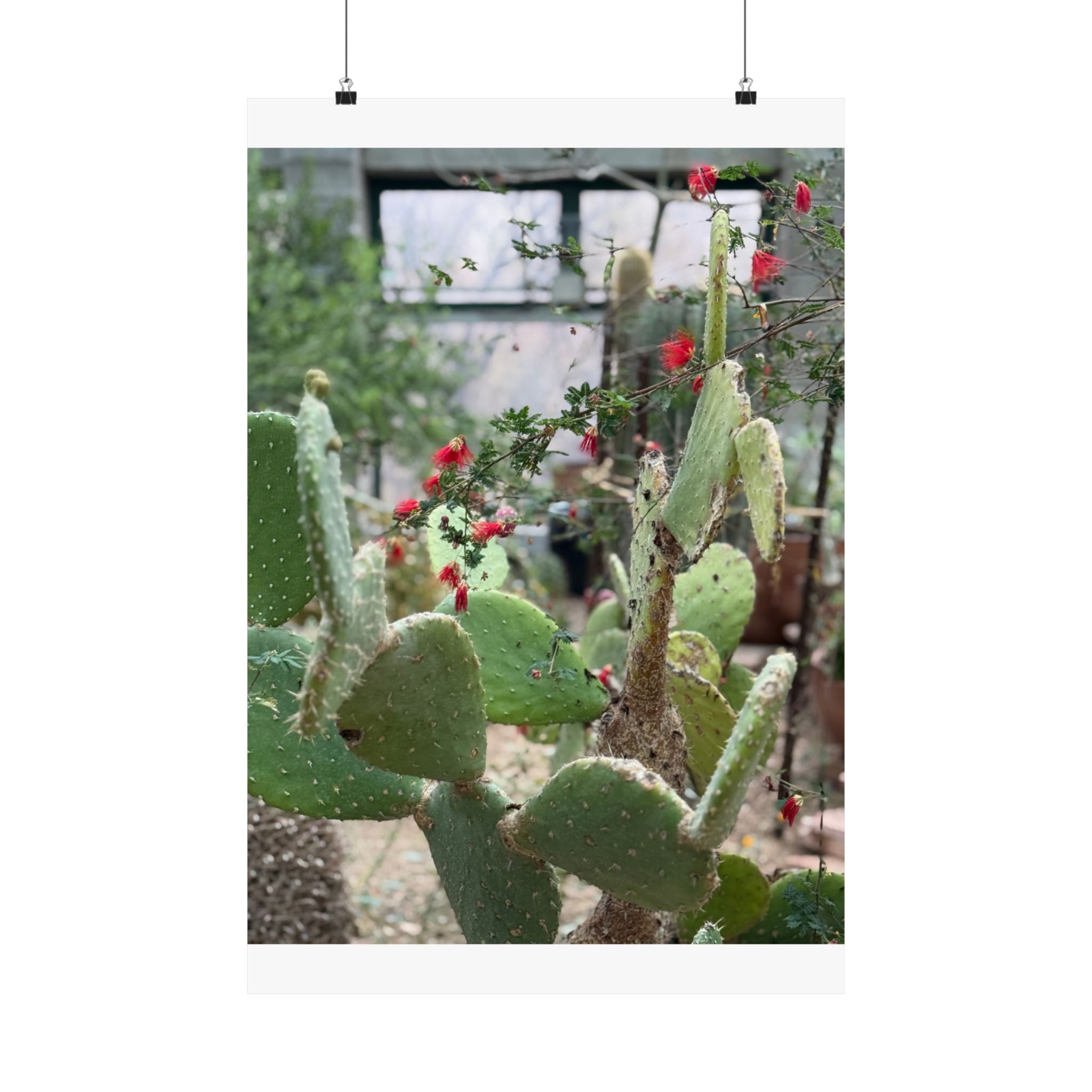 Cactus Vertical Wall Art, Boho Home Decor, Nature Print, Gift for Plant Lovers, Gallery Wall Decoration