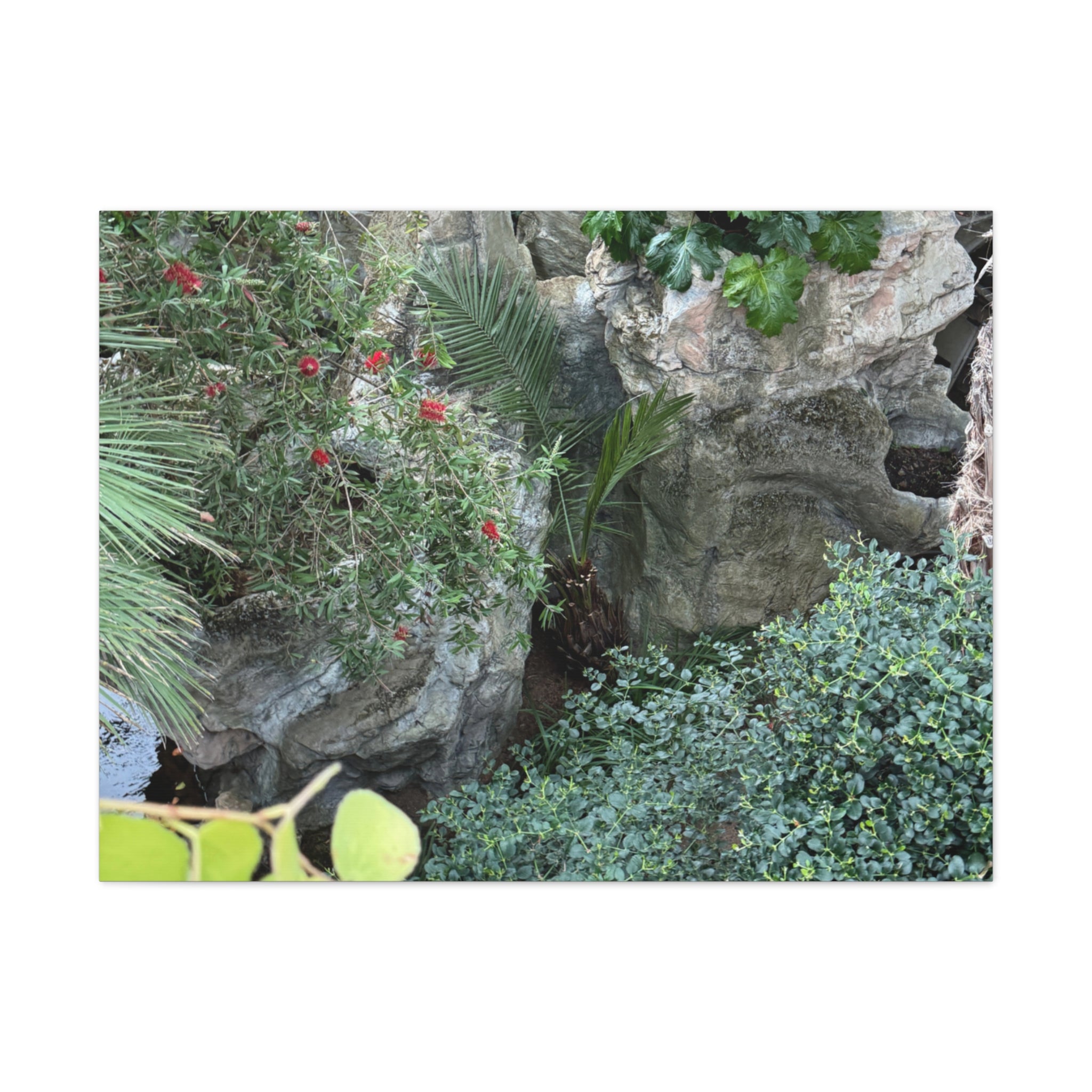 Canvas Wall Art, Tropical Garden Print, Home Decor, Botanical Artwork, Nature Lover Gift, Modern Interior Design