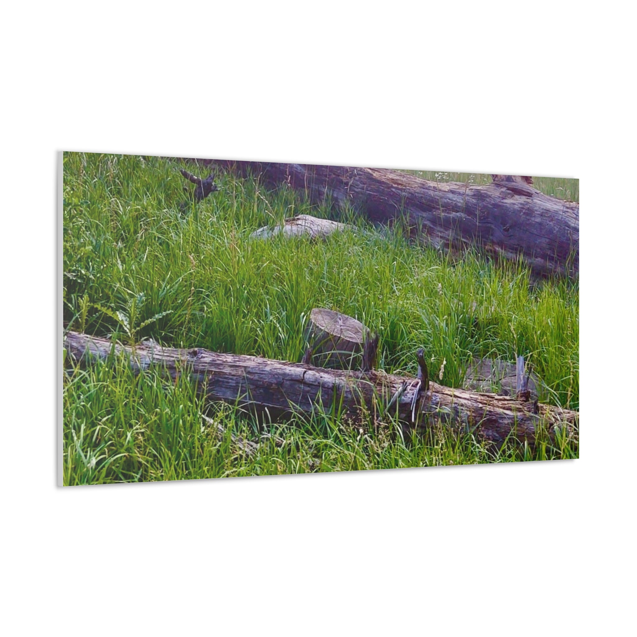 Classic Canvas Wall Art - Nature Decor, Outdoor Wall Hanging, Home Aesthetic, Gift for Nature Lovers, Rustic Cabin Decor