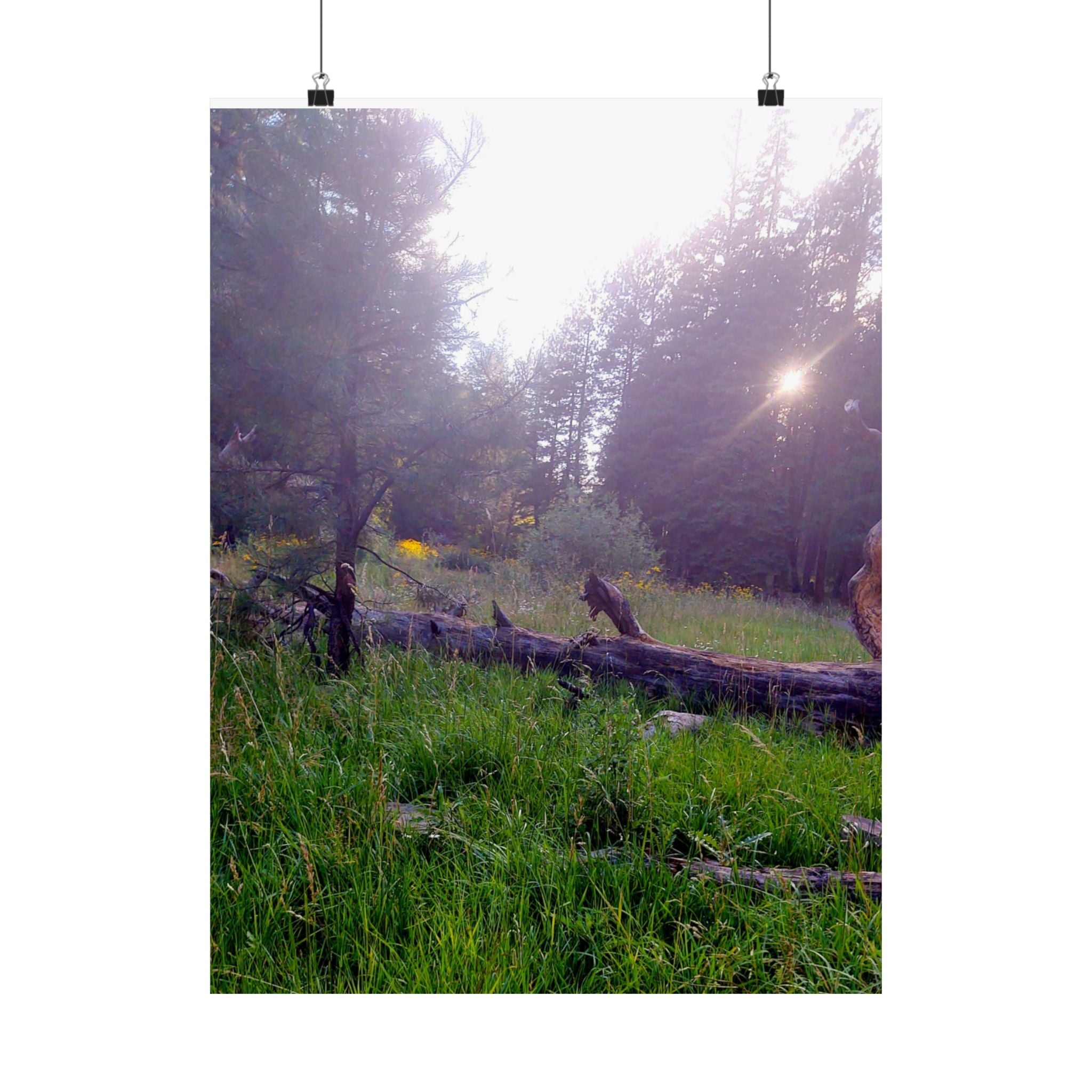 Nature-Inspired Matte Vertical Posters for Home Décor, Unique Wall Art Prints, Botanical Print Collection, Gifts for Nature Lovers, [...]