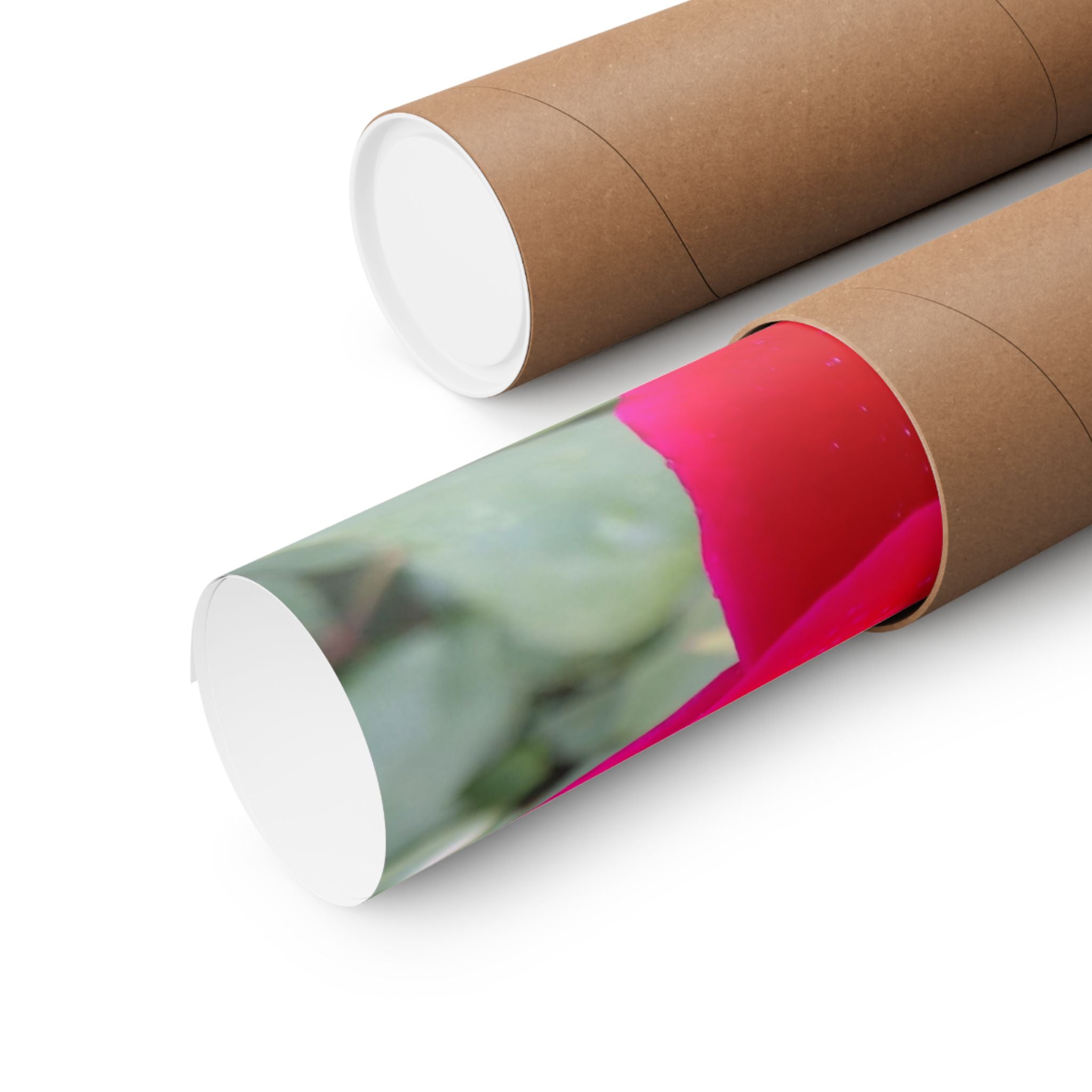 Vibrant Floral Matte Poster, Home Decor, Wall Art, Gift for Her, Red Rose Print, Botanical Wall Art, Romantic Decoration