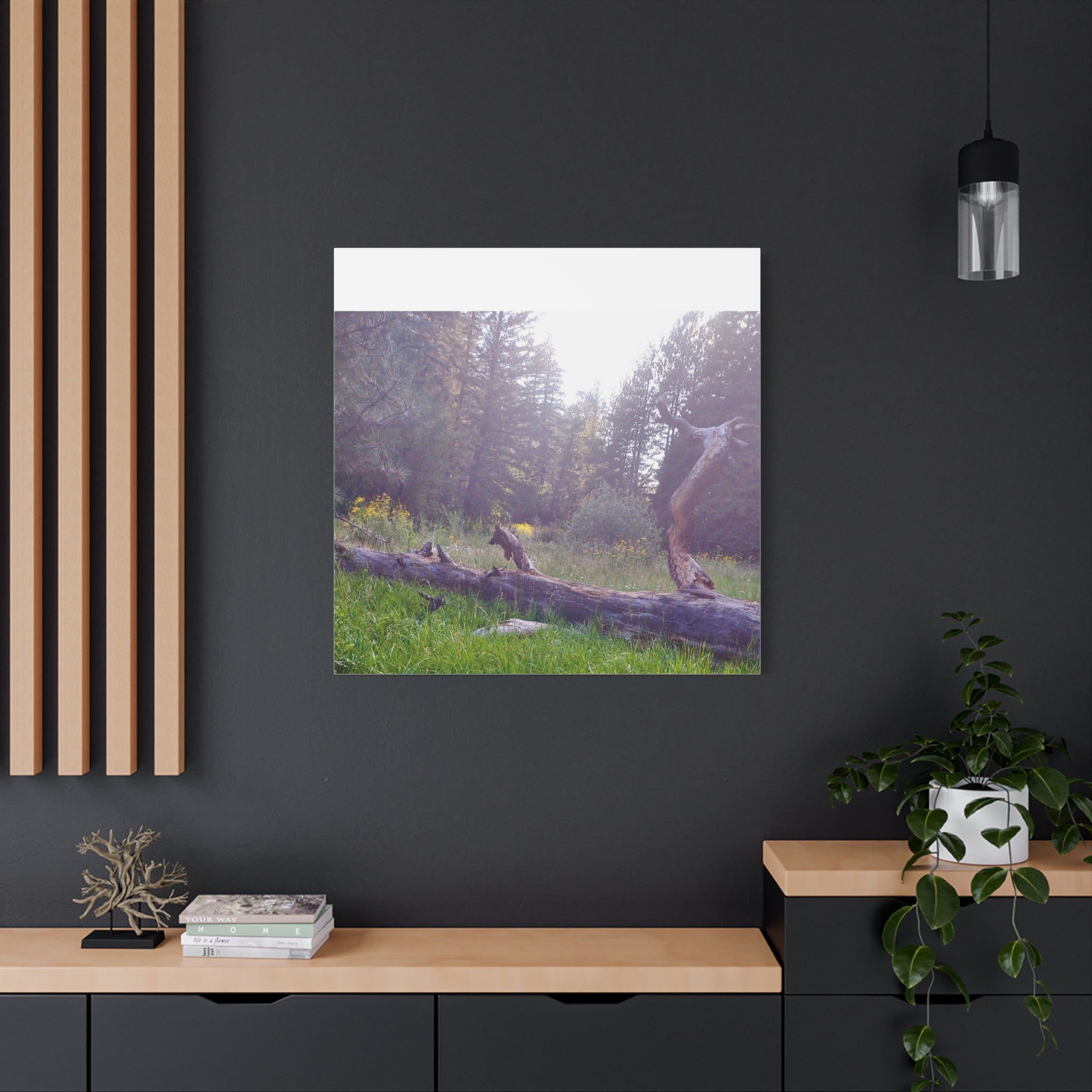 Matte Canvas Wall Art - Serene Nature Scene, Perfect for Home Decor, Gift for Nature Lovers, Office Wall Decoration, Rustic Art Print