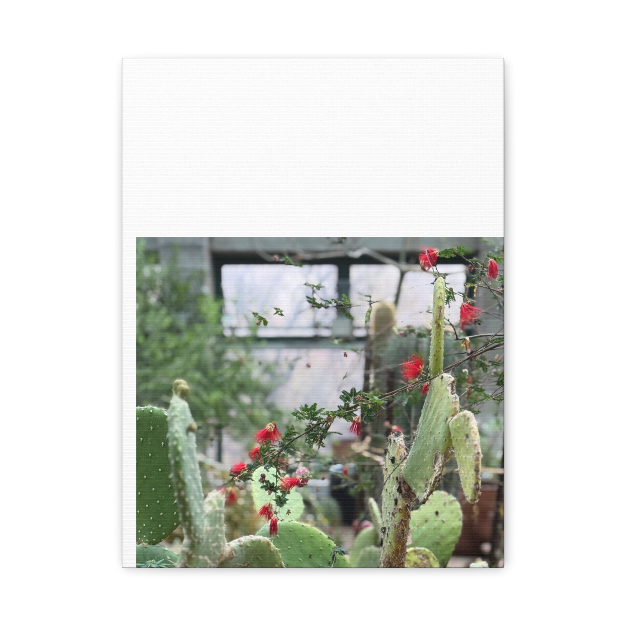 Cactus Wall Art Print, Nature Home Decor, Bohemian Style Artwork, Botanical Gift, Succulent Canvas