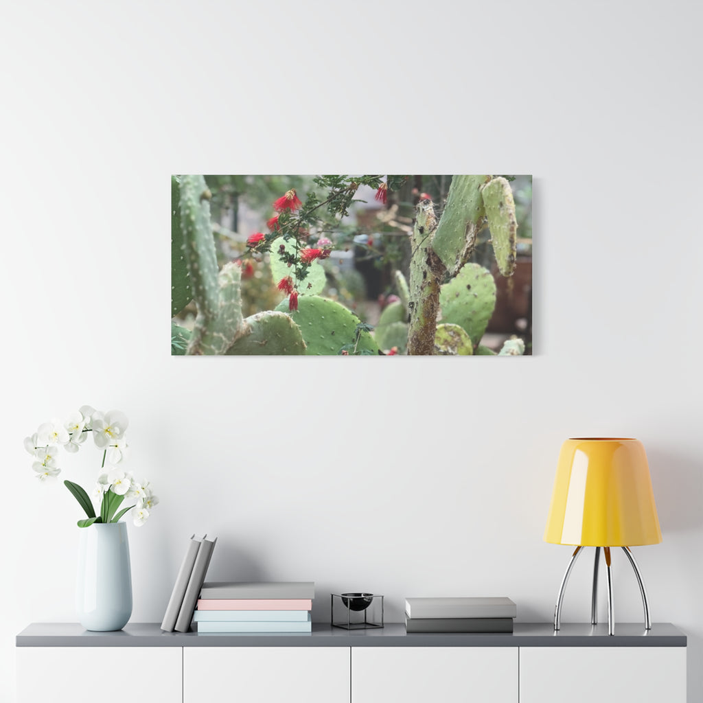 Cactus Artwork Print, Botanical Wall Decor, Succulent Canvas, Nature Lover Gift, Home Decoration