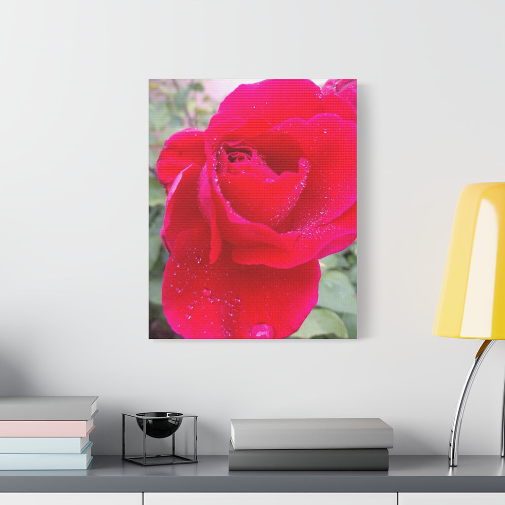 Stunning Floral Canvas Print, Home Decor, Wall Art, Gift for Flower Lovers, Red Rose Art, Mother's Day Gift