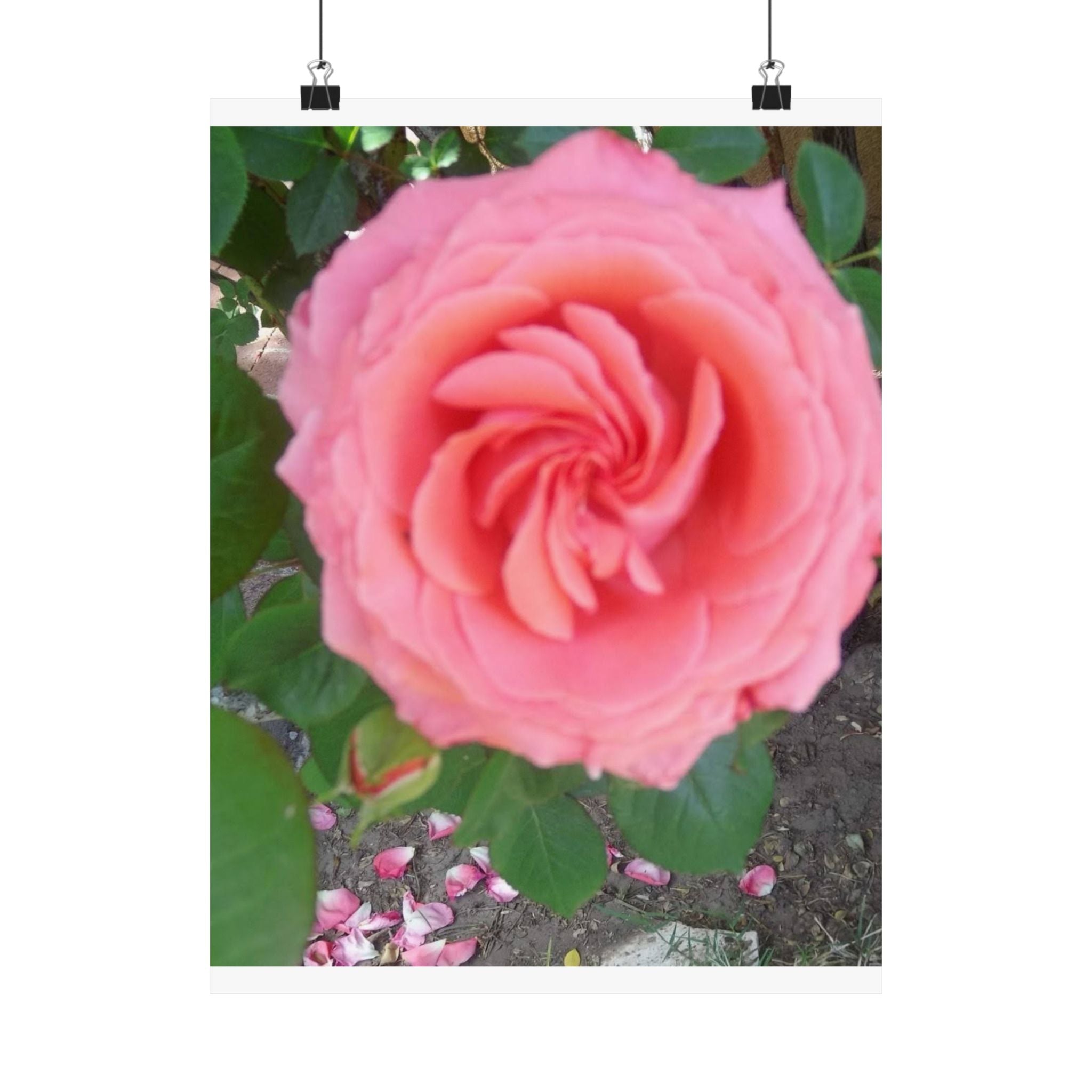 Beautiful Pink Rose Vertical Poster – Floral Wall Art, Home Decor, Gift for Her, Botanical Print, Mother's Day Decoration