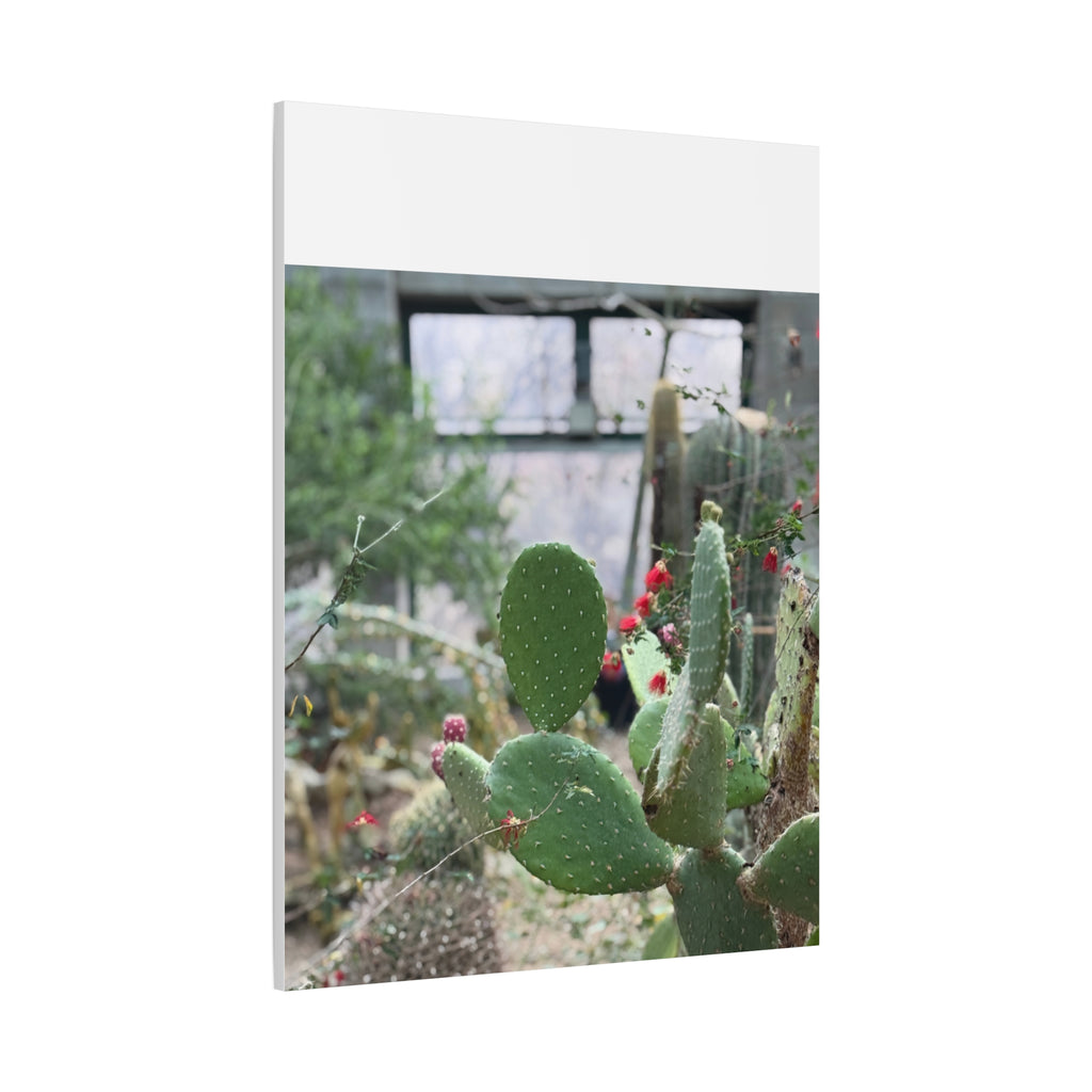Cactus Matte Canvas Wall Art, Nature Decor, Southwestern Room Design, Green Plant Prints, Home and Office Wall Decor