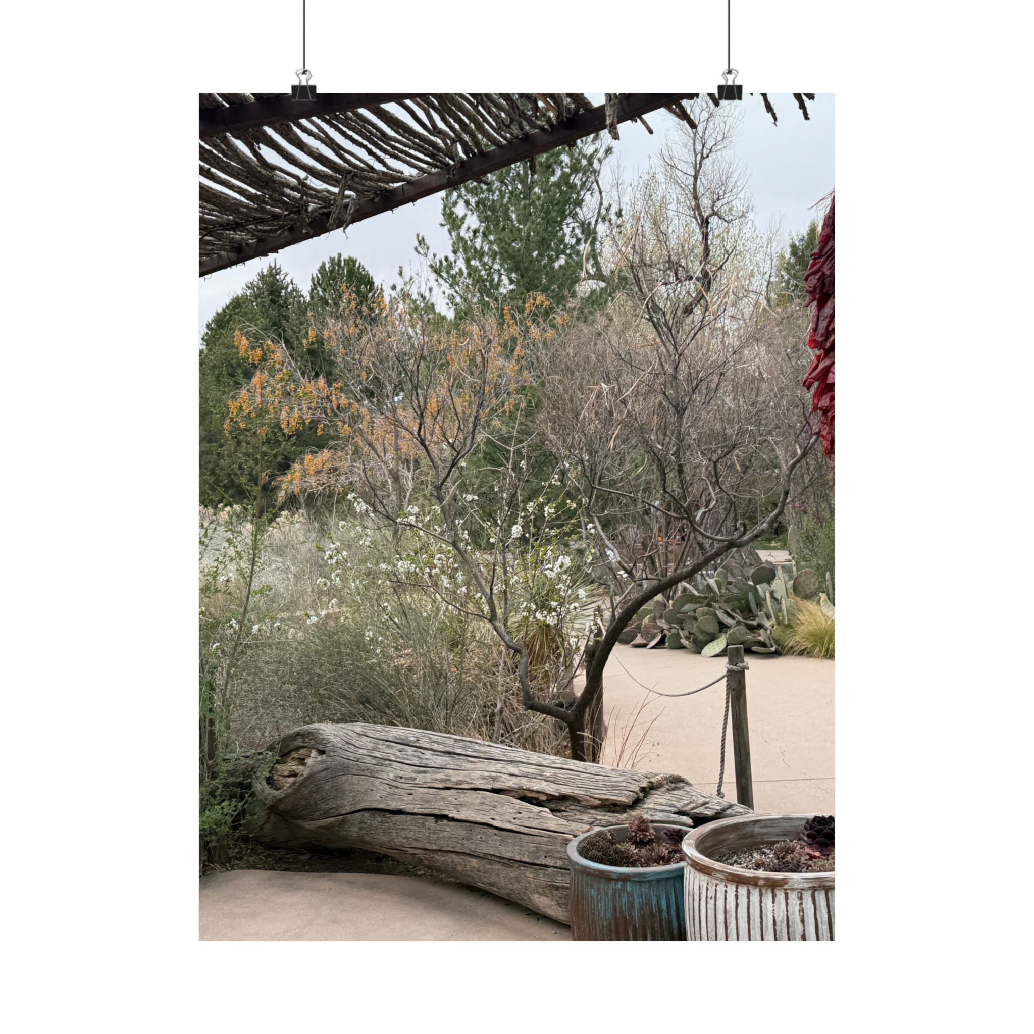 Matte Vertical Posters | Nature-Inspired Wall Art, Rustic Decor, Home Aesthetic, Gift for Nature Lovers, Bohemian Poster Prints