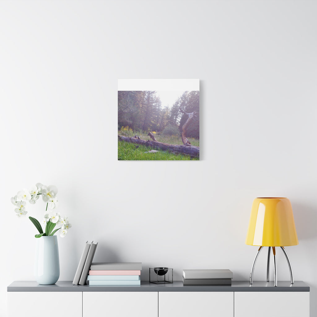 Matte Canvas Wall Art - Serene Nature Scene, Perfect for Home Decor, Gift for Nature Lovers, Office Wall Decoration, Rustic Art Print