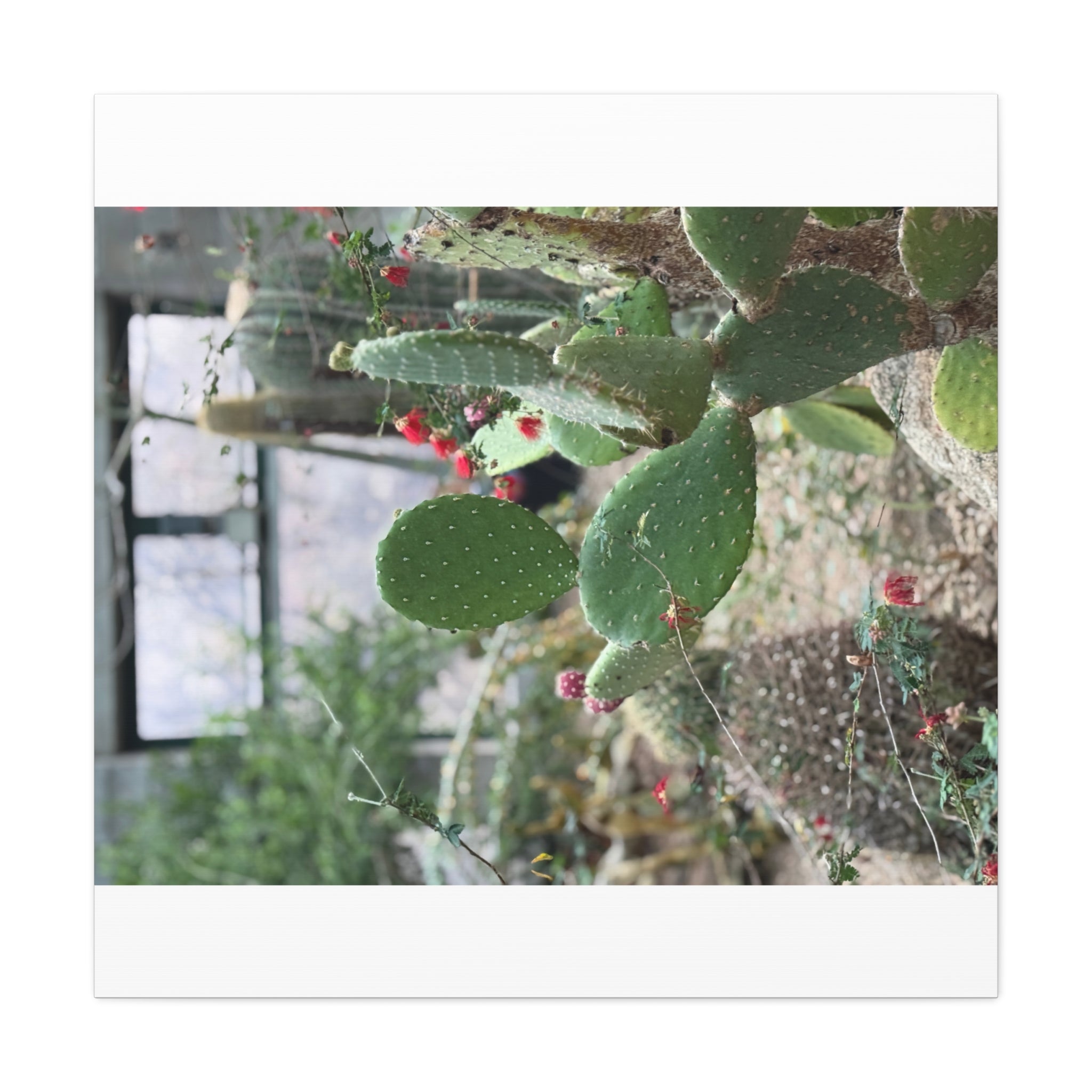 Cactus Wall Art Canvas Print, Nature Décor for Home, Office, Gift for Cactus Lovers, Unique Plant Themed Artwork, Desert Vibe Decor