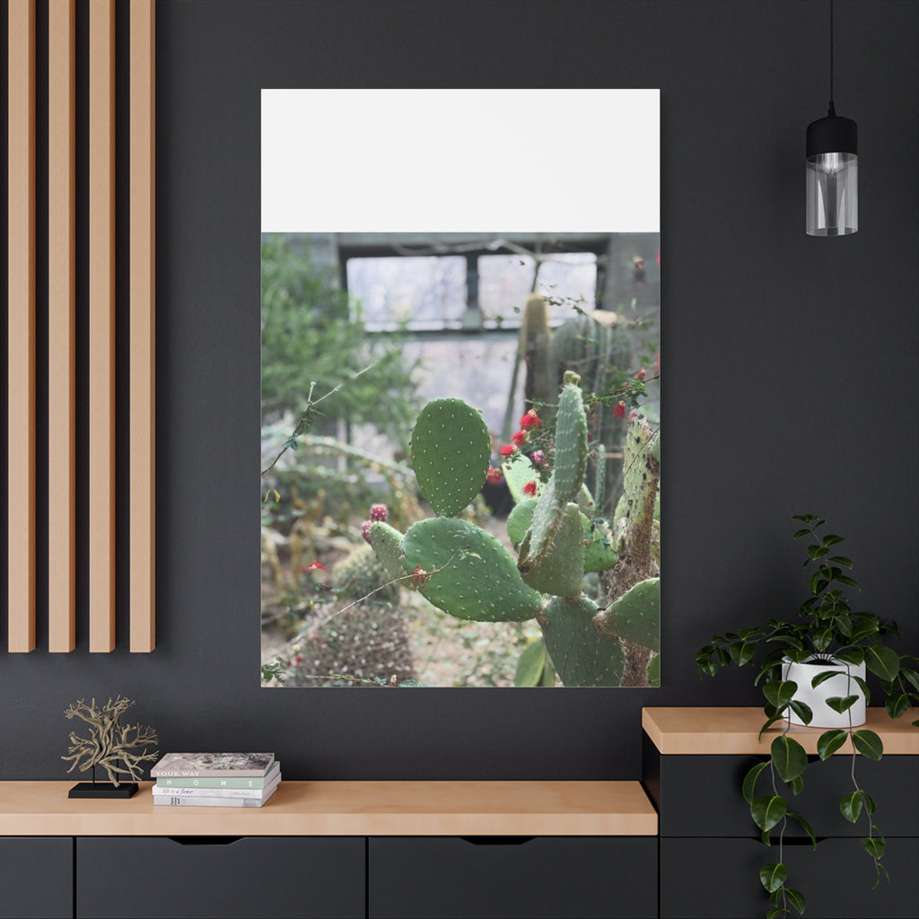 Cactus Matte Canvas Wall Art, Nature Decor, Southwestern Room Design, Green Plant Prints, Home and Office Wall Decor