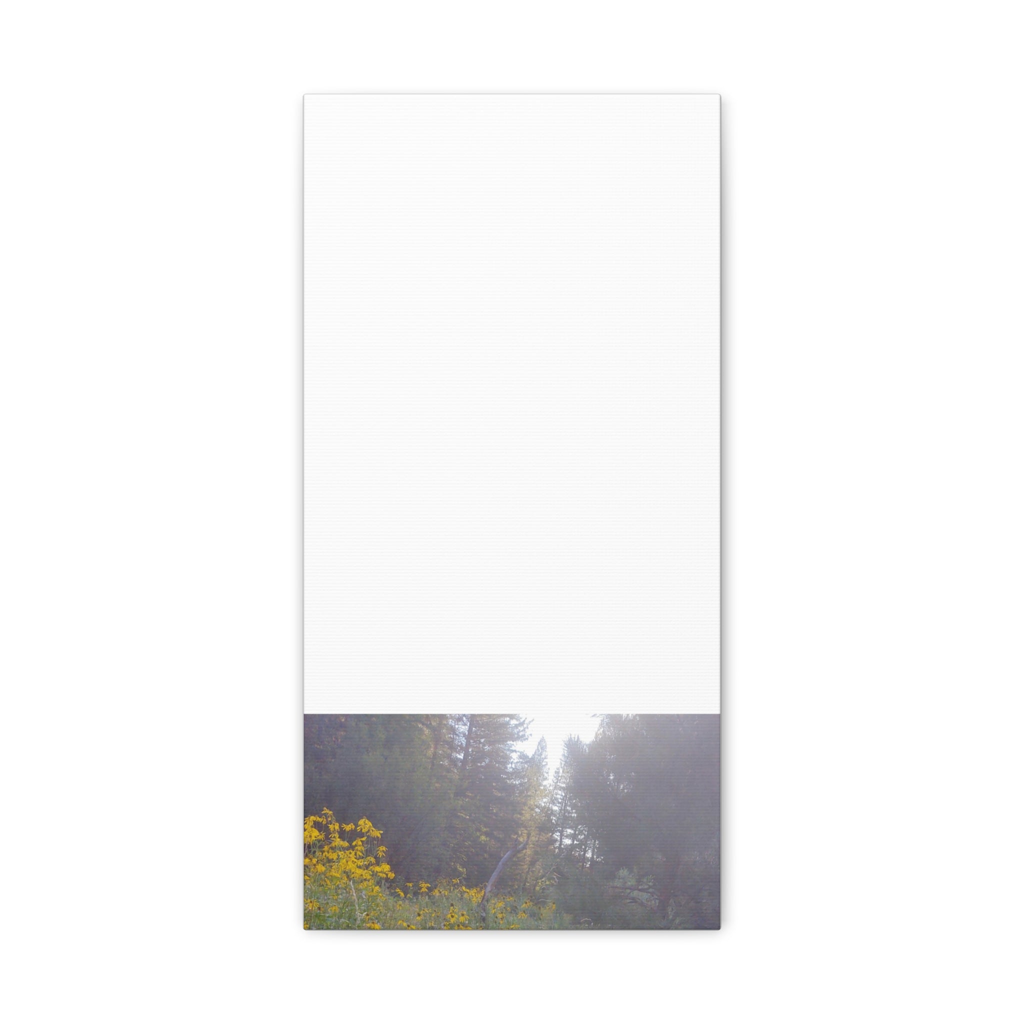 Matte Canvas, Stretched, 1.25"