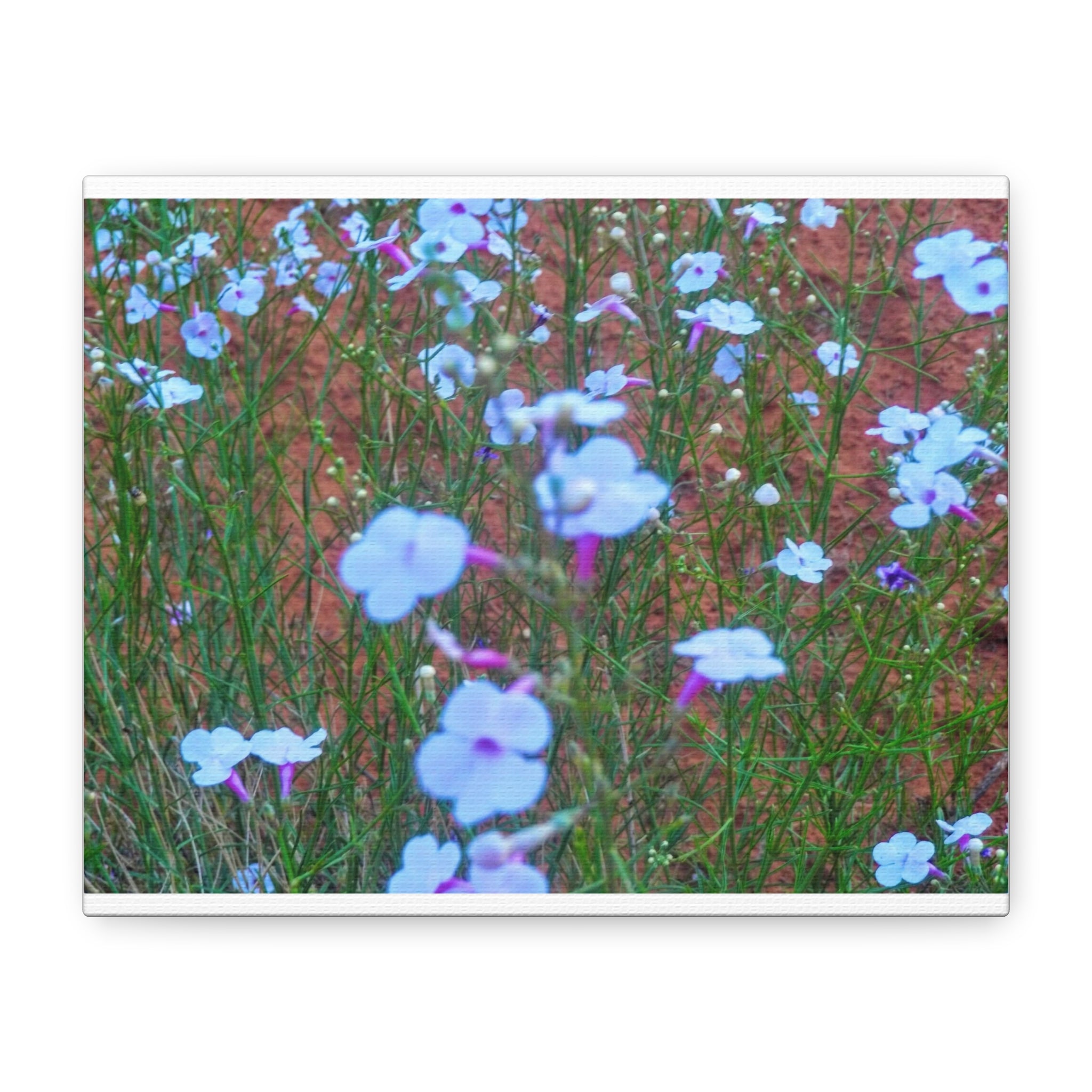 Floral Canvas Wall Art, Home Decor, Wall Hanging, Gift Idea, Nature Art, Flower Print