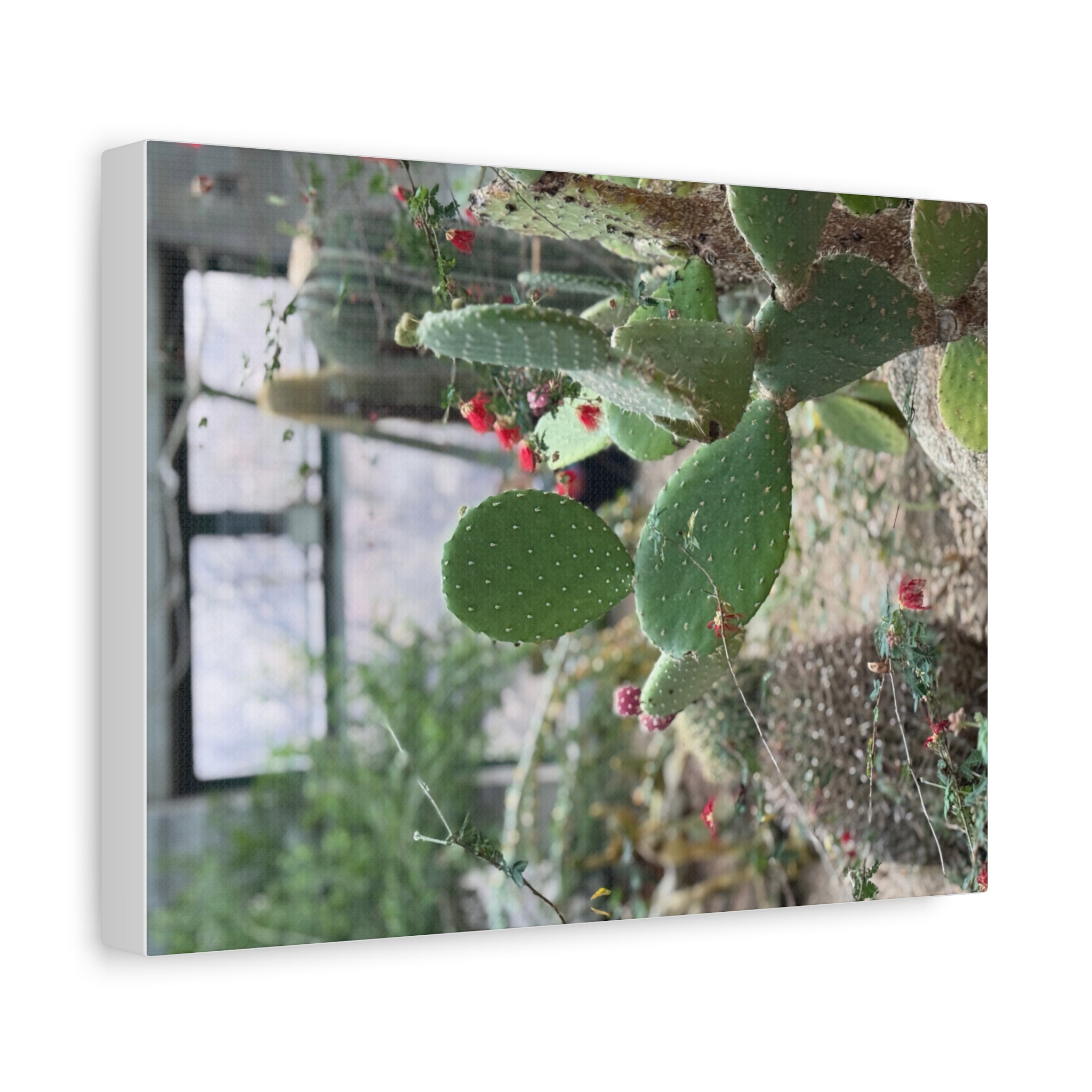 Cactus Wall Art Canvas Print, Nature Décor for Home, Office, Gift for Cactus Lovers, Unique Plant Themed Artwork, Desert Vibe Decor