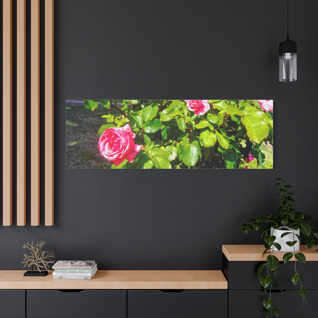 Floral Canvas Wall Art, Pink Rose Decor, Home Gallery Piece, Flower Photography, Garden Wall Decor, Floral Print