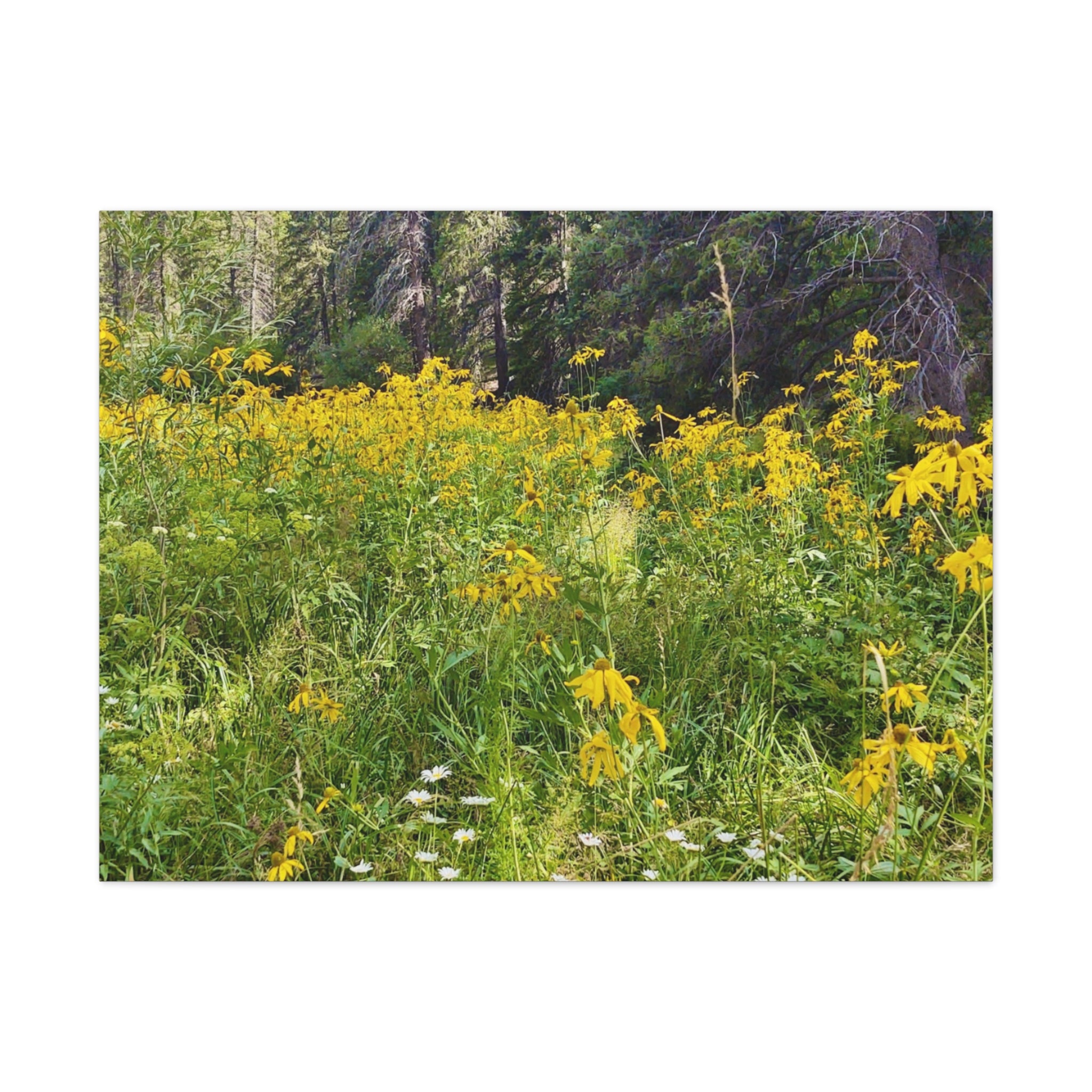 Nature-Inspired Wall Art Print, Classic Canvas Landscape, Floral Forest Decor, Home Wall Decoration, Gift for Nature Lovers