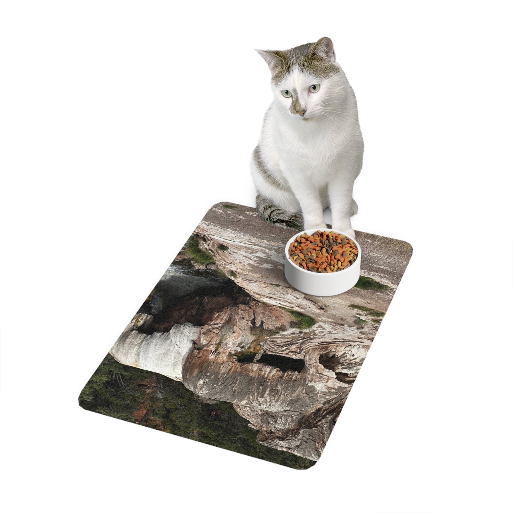 Pet Food Mat - Stylish Feeding Station, Perfect for Pet Lovers, Dog & Cat Feeding Mat, Home Decor, Kitchen Accessories, Gift for Pet Owners