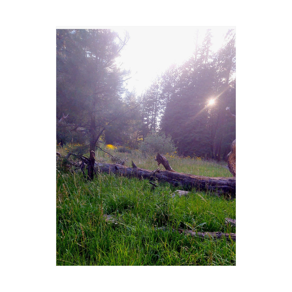 Nature-Inspired Matte Vertical Posters for Home Décor, Unique Wall Art Prints, Botanical Print Collection, Gifts for Nature Lovers, [...]