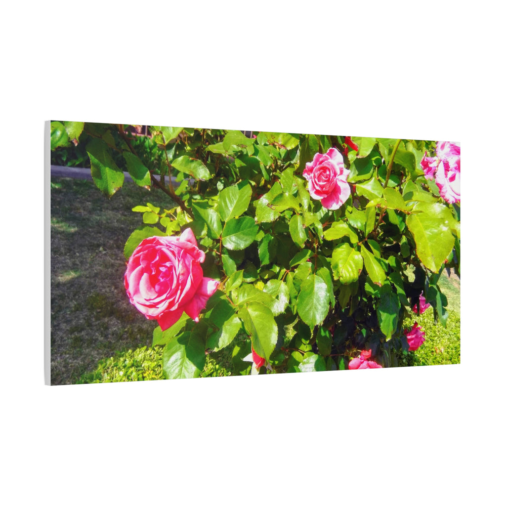 Floral Canvas Wall Art, Pink Rose Decor, Home Gallery Piece, Flower Photography, Garden Wall Decor, Floral Print