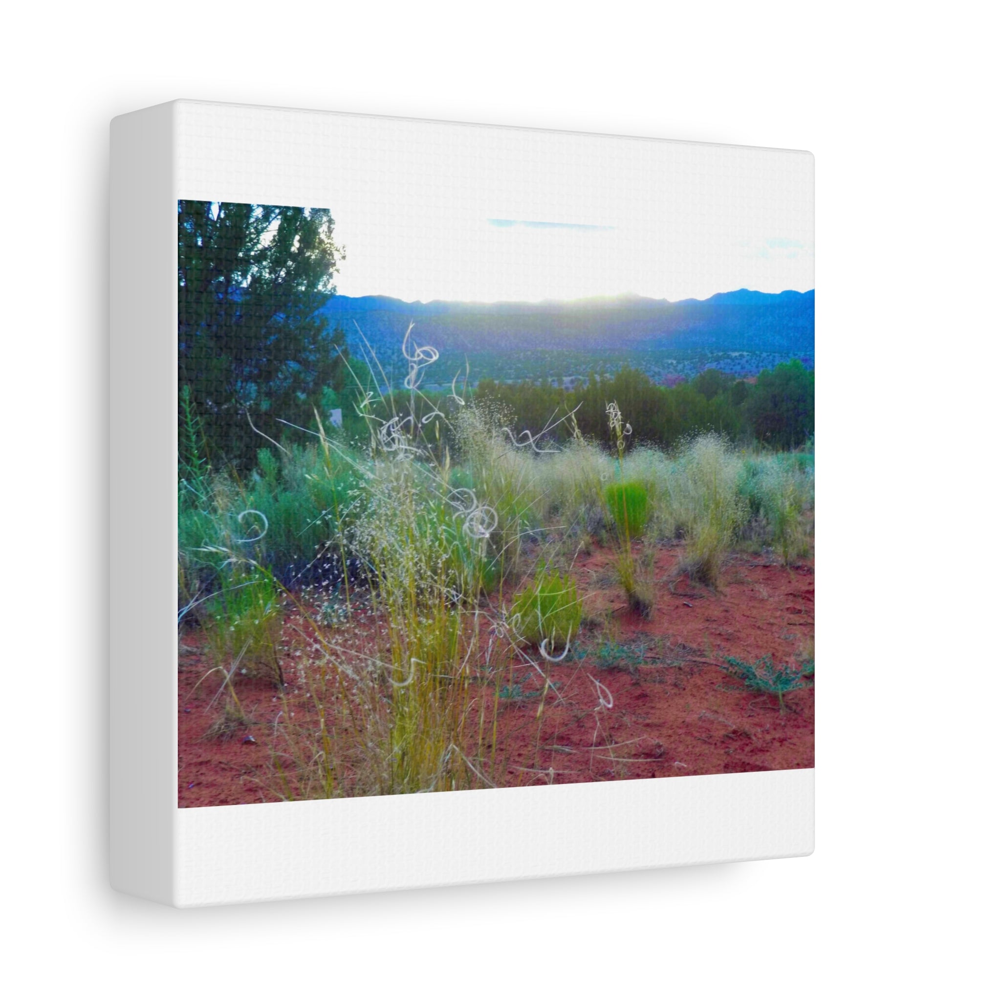 Stretched Canvas Art Print, Nature Wall Decor, Boho Home Decor, Rustic Landscape Art, Gift for Nature Lovers