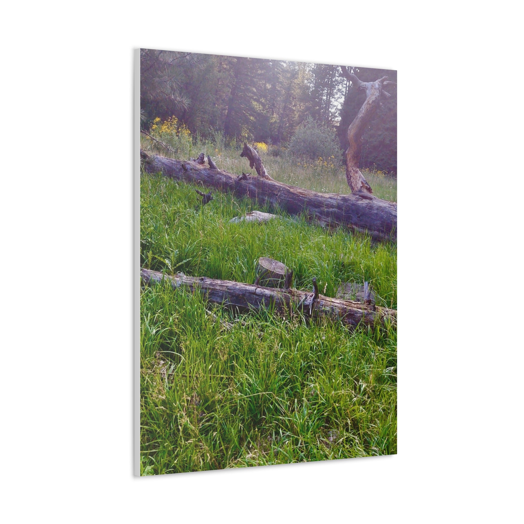 Classic Canvas Wall Art - Nature Decor, Outdoor Wall Hanging, Home Aesthetic, Gift for Nature Lovers, Rustic Cabin Decor
