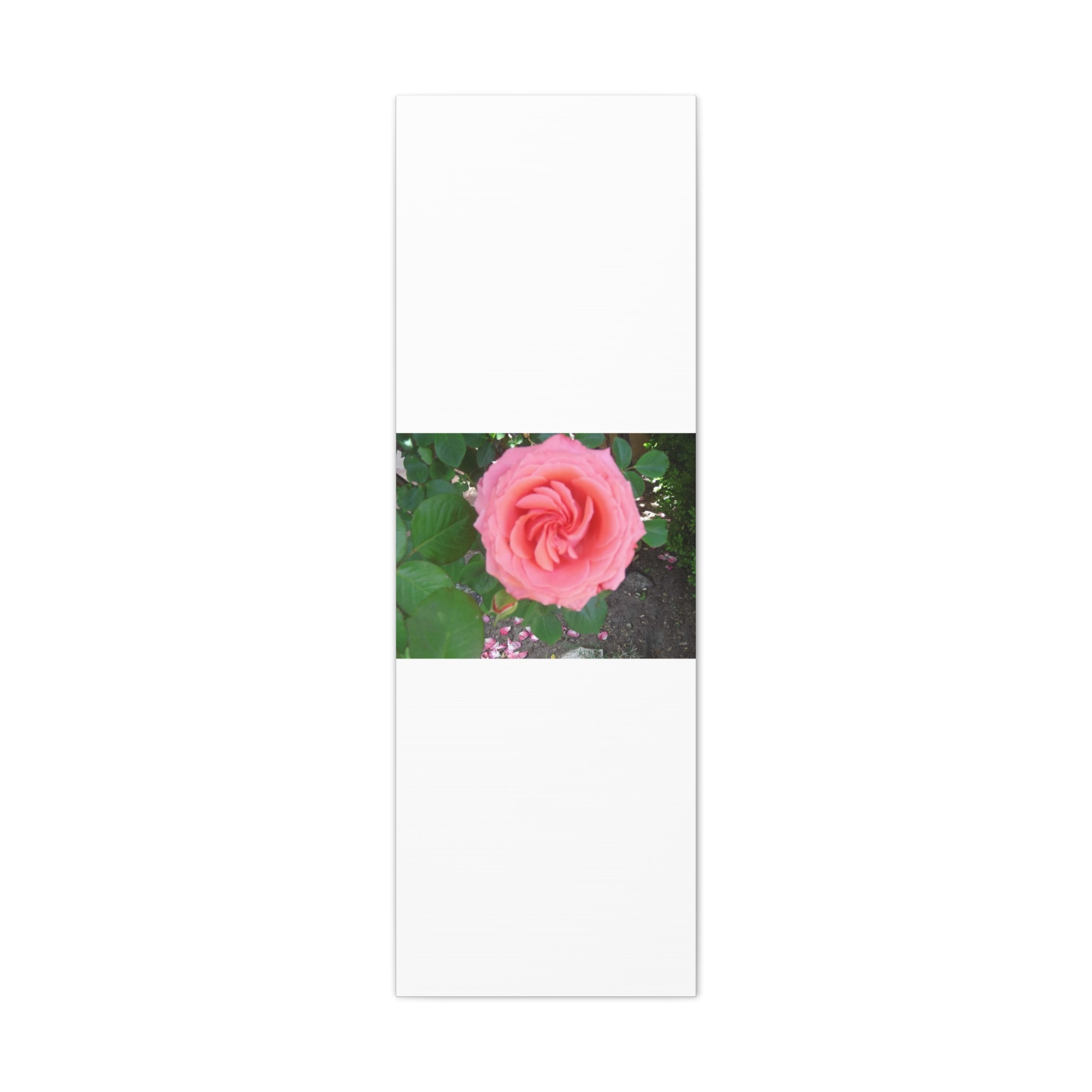 Pink Rose Canvas Wall Art, Floral Decor for Home, Perfect Gift for Nature Lovers, Elegant Wall Hanging, Mother's Day Decoration