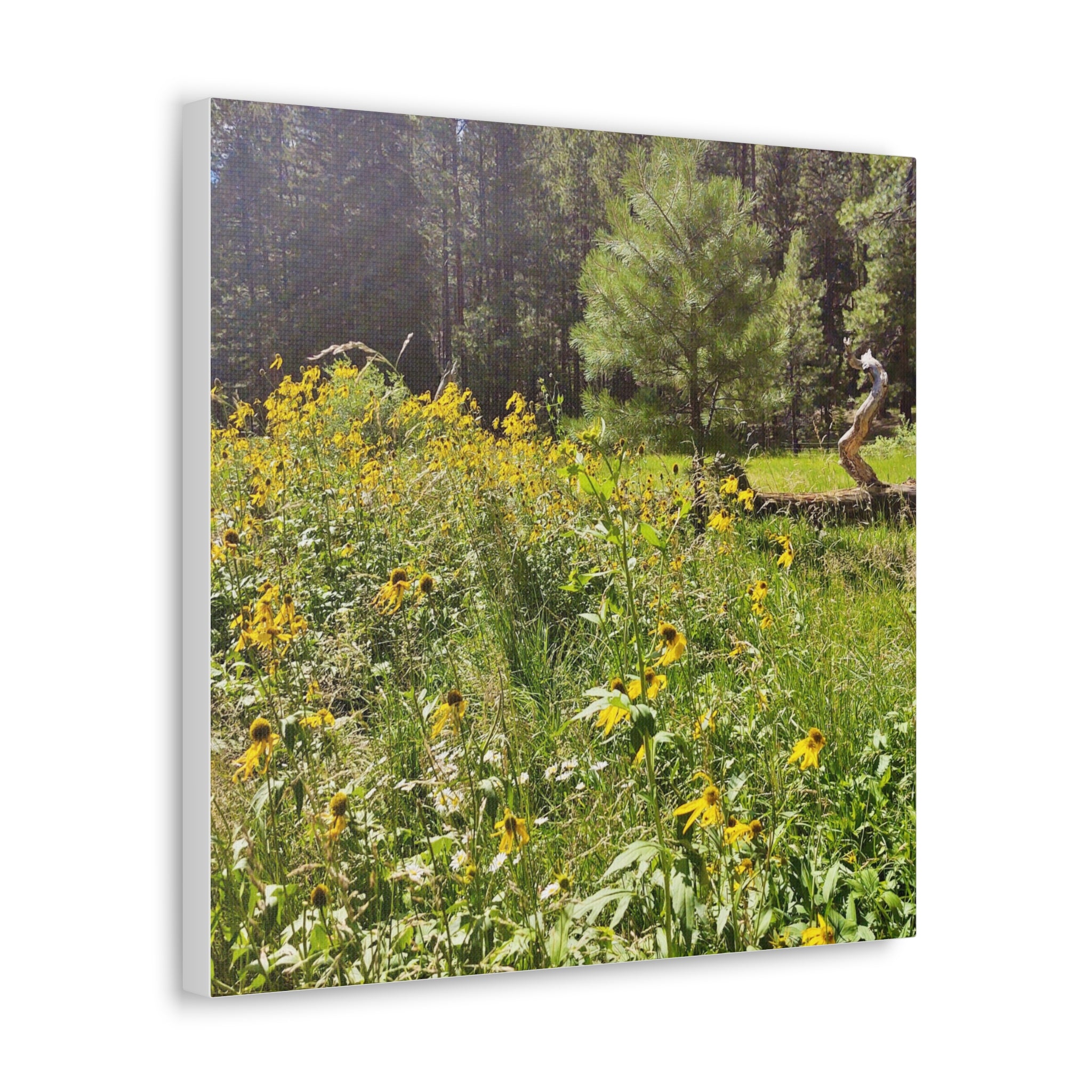 Canvas Wall Art, Nature Photography Decor, Floral Home Decor, Greenery Art Print, Gift for Nature Lovers