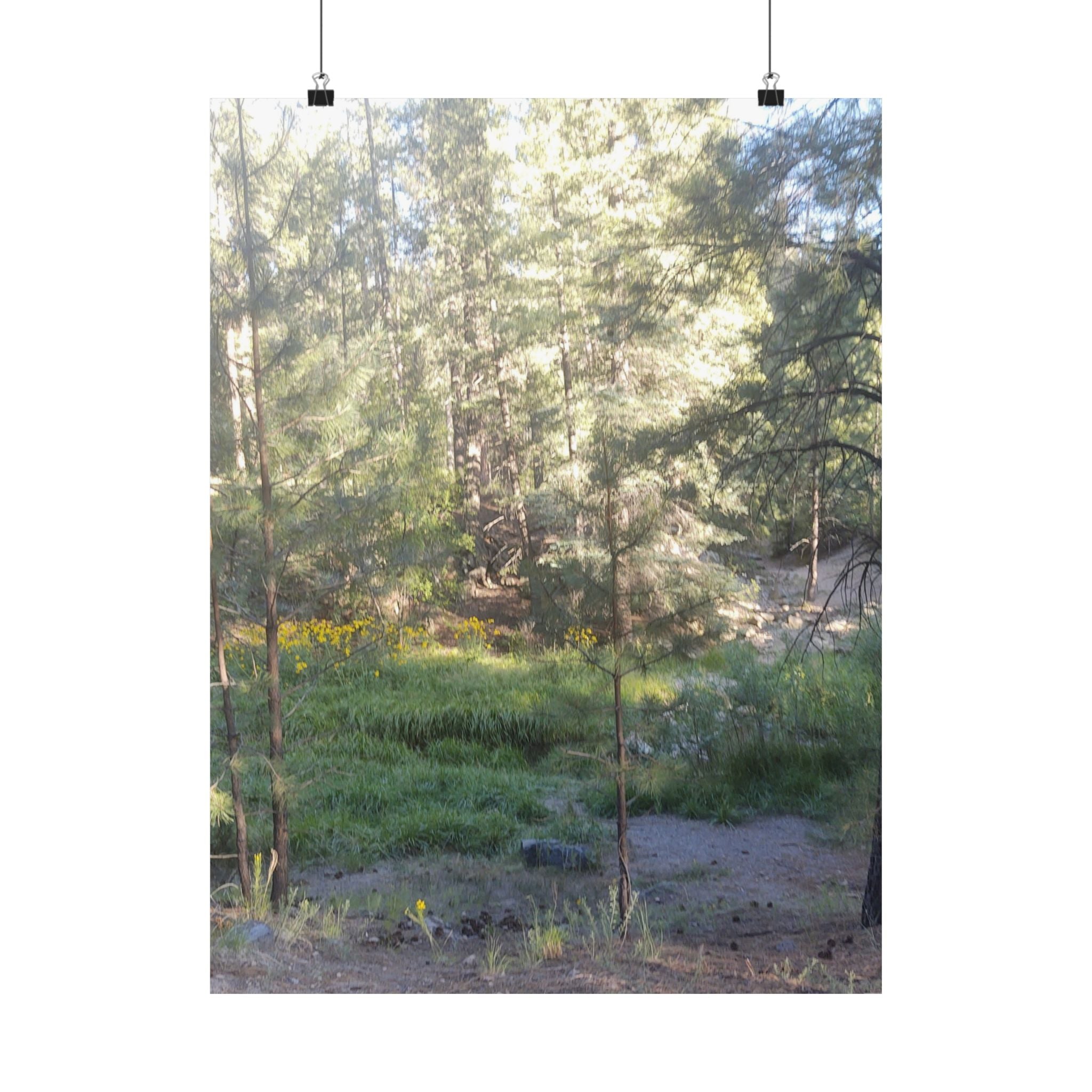 Nature-Inspired Matte Vertical Posters, Wall Art Prints, Home Decor, Aesthetic Decor, Nature Photography, Botanical Wall Art