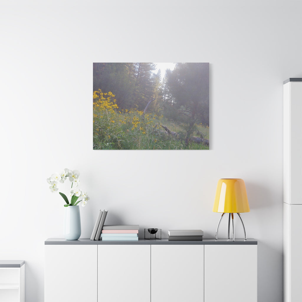 Matte Canvas, Stretched, 1.25"