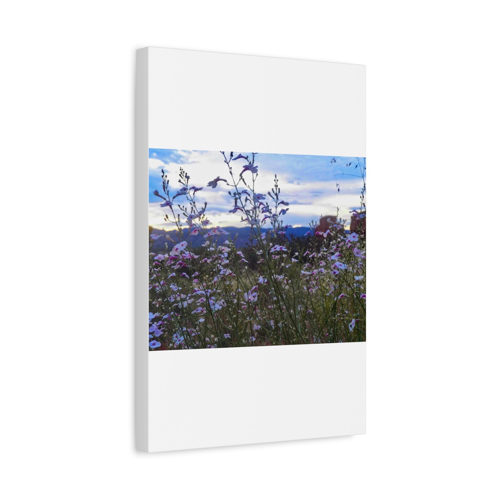 Floral Wall Art Canvas, Nature-Inspired Home Decor, Flower Print, Rustic Living Room, Gift for Gardeners, Boho Wall Art