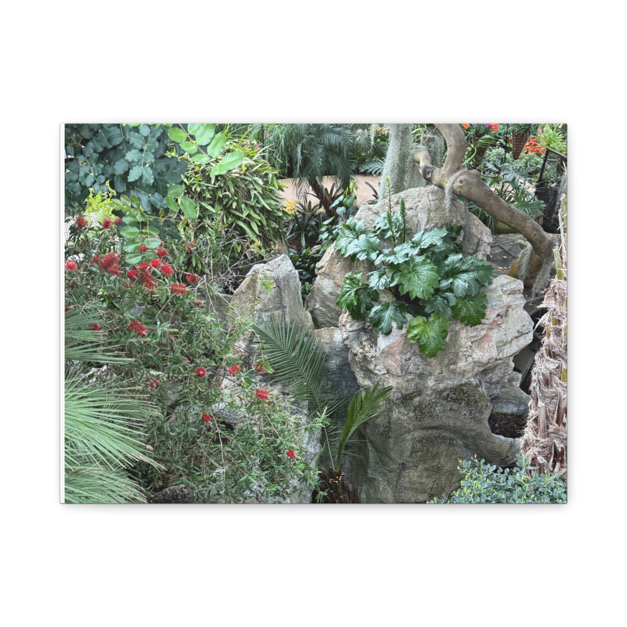 Nature-Inspired Wall Art, Canvas Print, Botanical Decor for Home, Greenery Art, Gift for Nature Lovers, Eco-Friendly Decoration