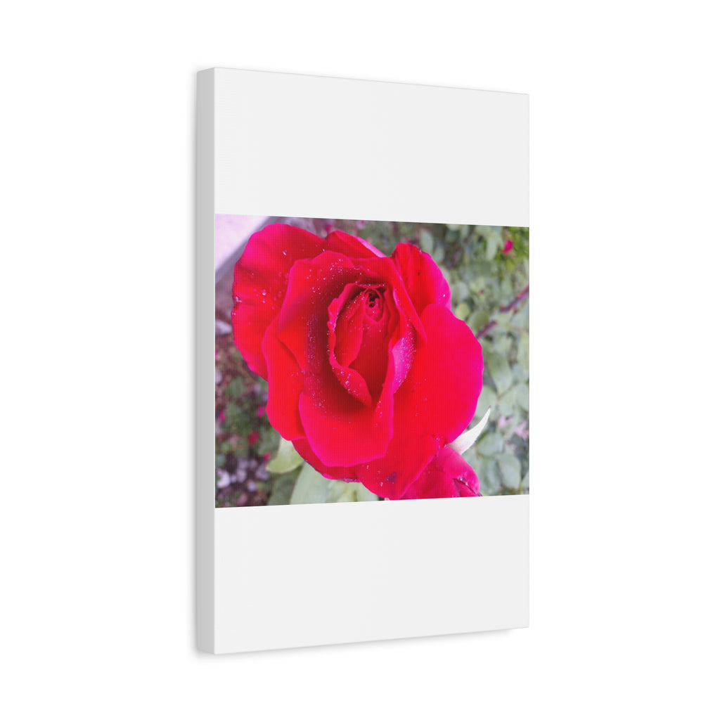 Vibrant Floral Canvas Art, Elegant Wall Decor, Perfect for Home, Gifts, Mother's Day, and Weddings