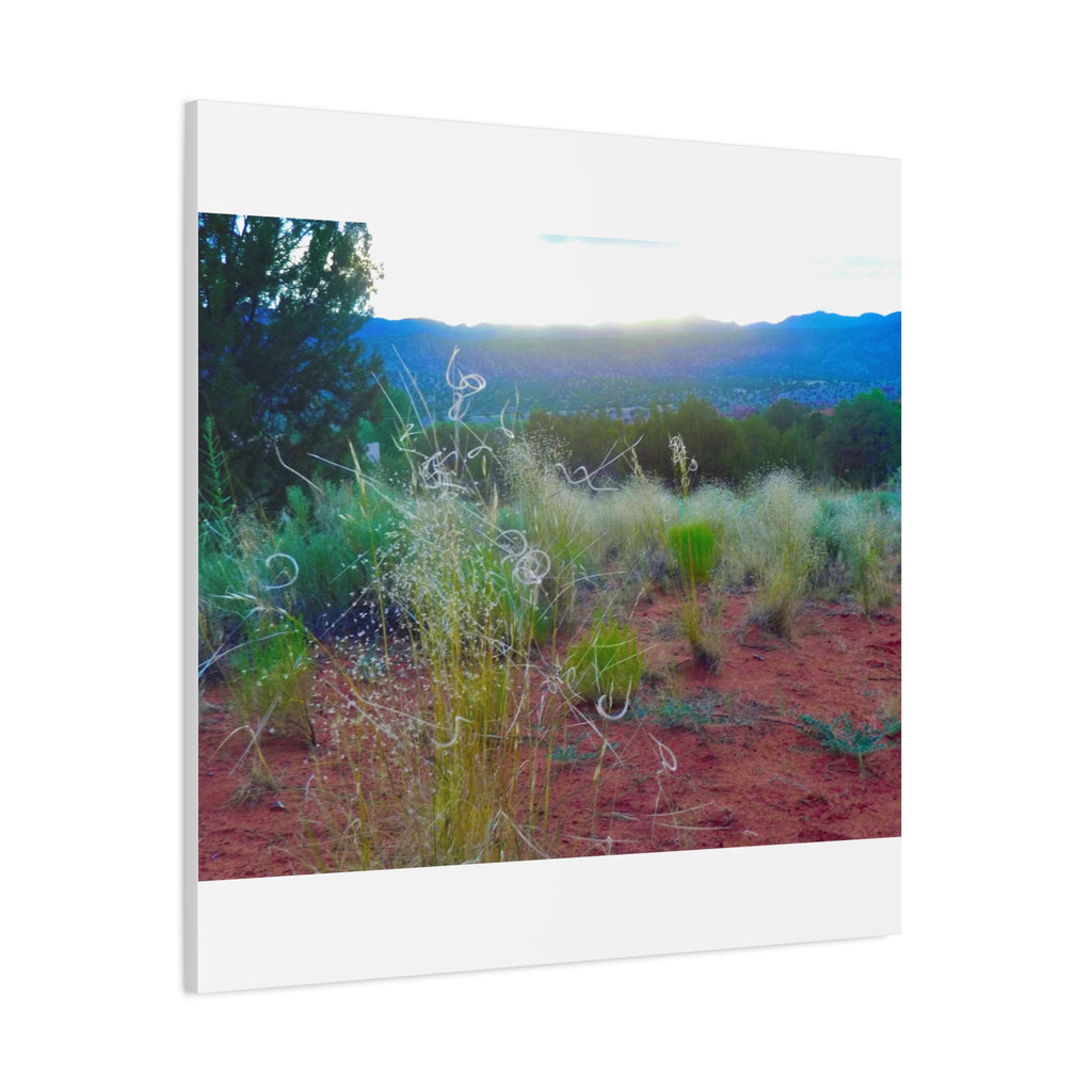 Stretched Canvas Art Print, Nature Wall Decor, Boho Home Decor, Rustic Landscape Art, Gift for Nature Lovers