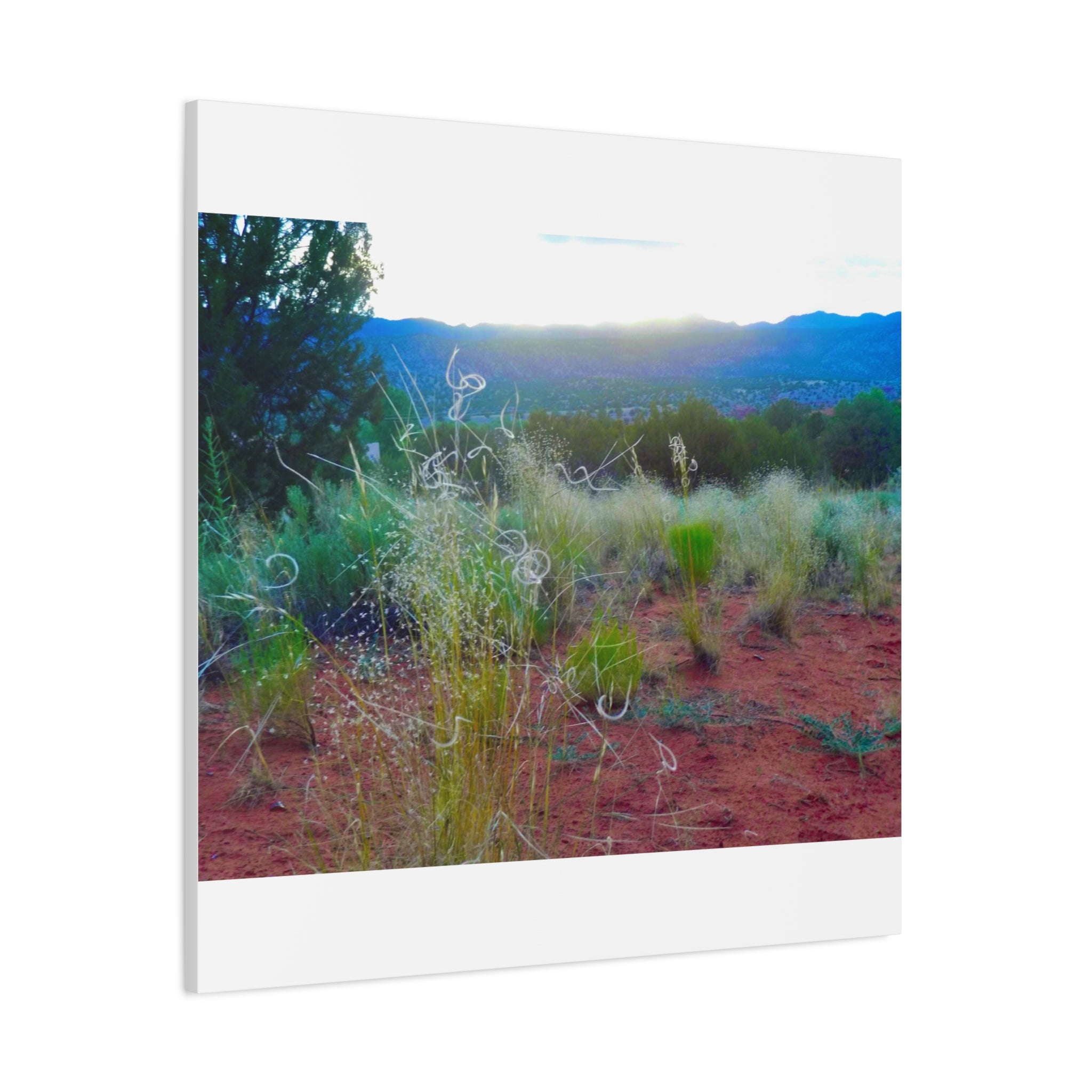 Stretched Canvas Art Print, Nature Wall Decor, Boho Home Decor, Rustic Landscape Art, Gift for Nature Lovers