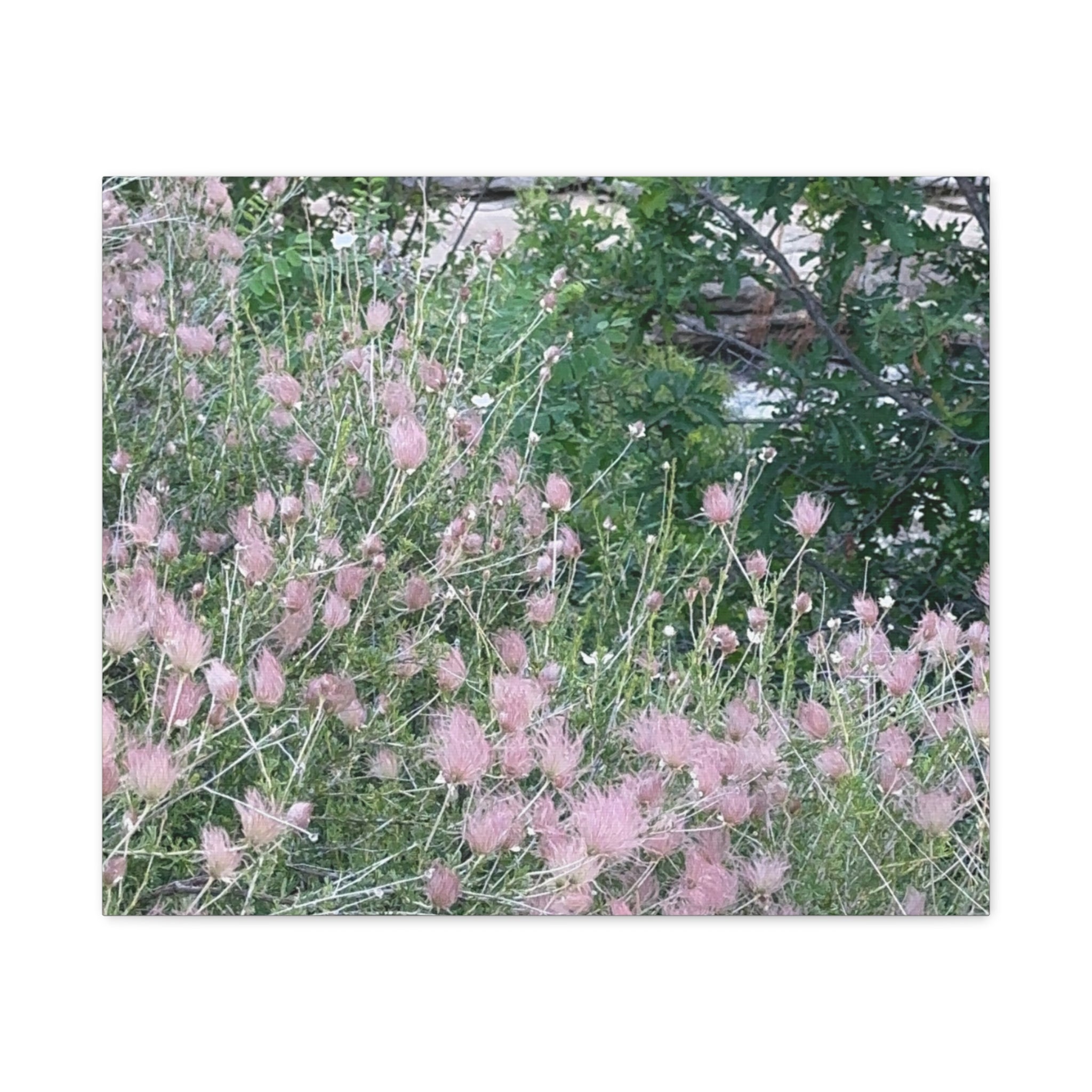 Floral Wall Art Canvas, Home Decor, Nature Lover Gift, Botanical Print, Spring Decor, Mother’s Day