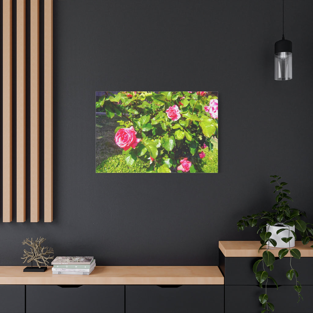 Floral Canvas Wall Art, Pink Rose Decor, Home Gallery Piece, Flower Photography, Garden Wall Decor, Floral Print