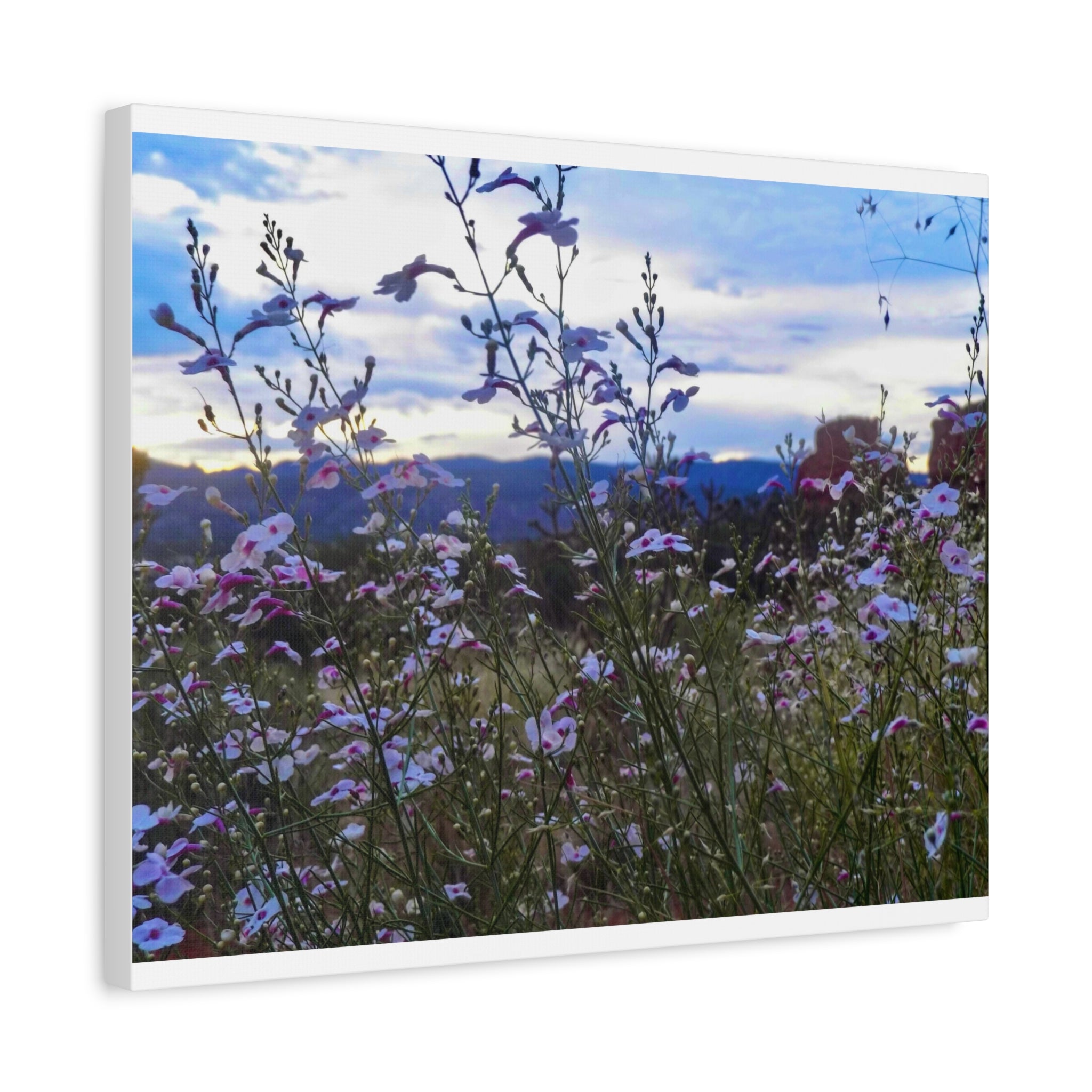 Floral Wall Art Canvas, Nature-Inspired Home Decor, Flower Print, Rustic Living Room, Gift for Gardeners, Boho Wall Art