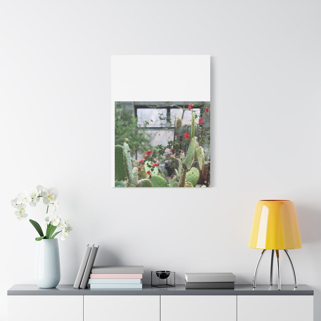 Cactus Wall Art Print, Nature Home Decor, Bohemian Style Artwork, Botanical Gift, Succulent Canvas