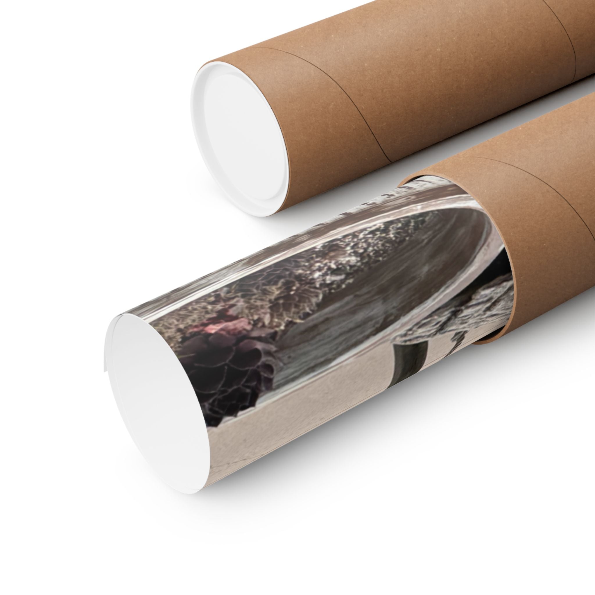 Matte Vertical Posters | Nature-Inspired Wall Art, Rustic Decor, Home Aesthetic, Gift for Nature Lovers, Bohemian Poster Prints