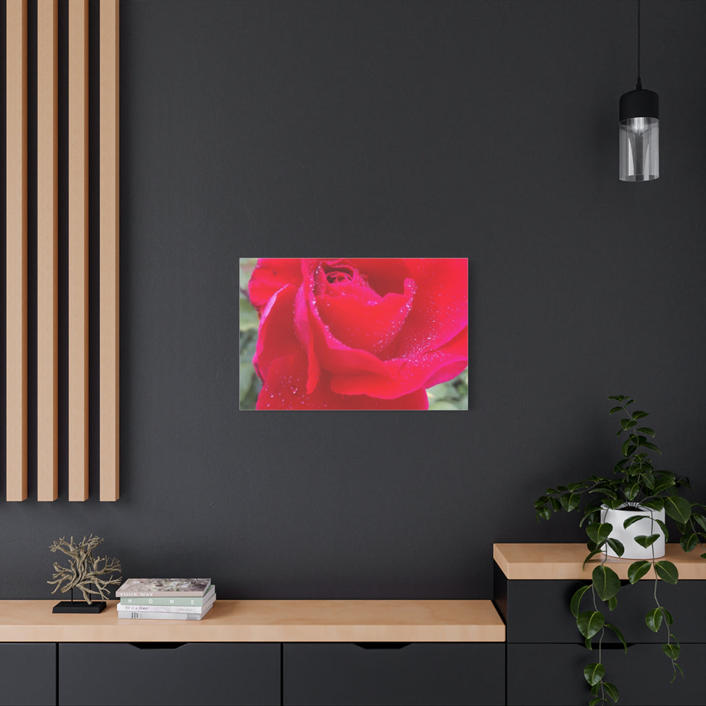 Stunning Floral Canvas Print, Home Decor, Wall Art, Gift for Flower Lovers, Red Rose Art, Mother's Day Gift