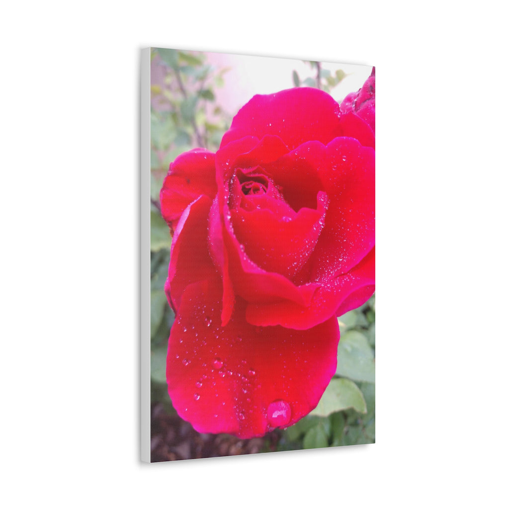 Stunning Floral Canvas Print, Home Decor, Wall Art, Gift for Flower Lovers, Red Rose Art, Mother's Day Gift