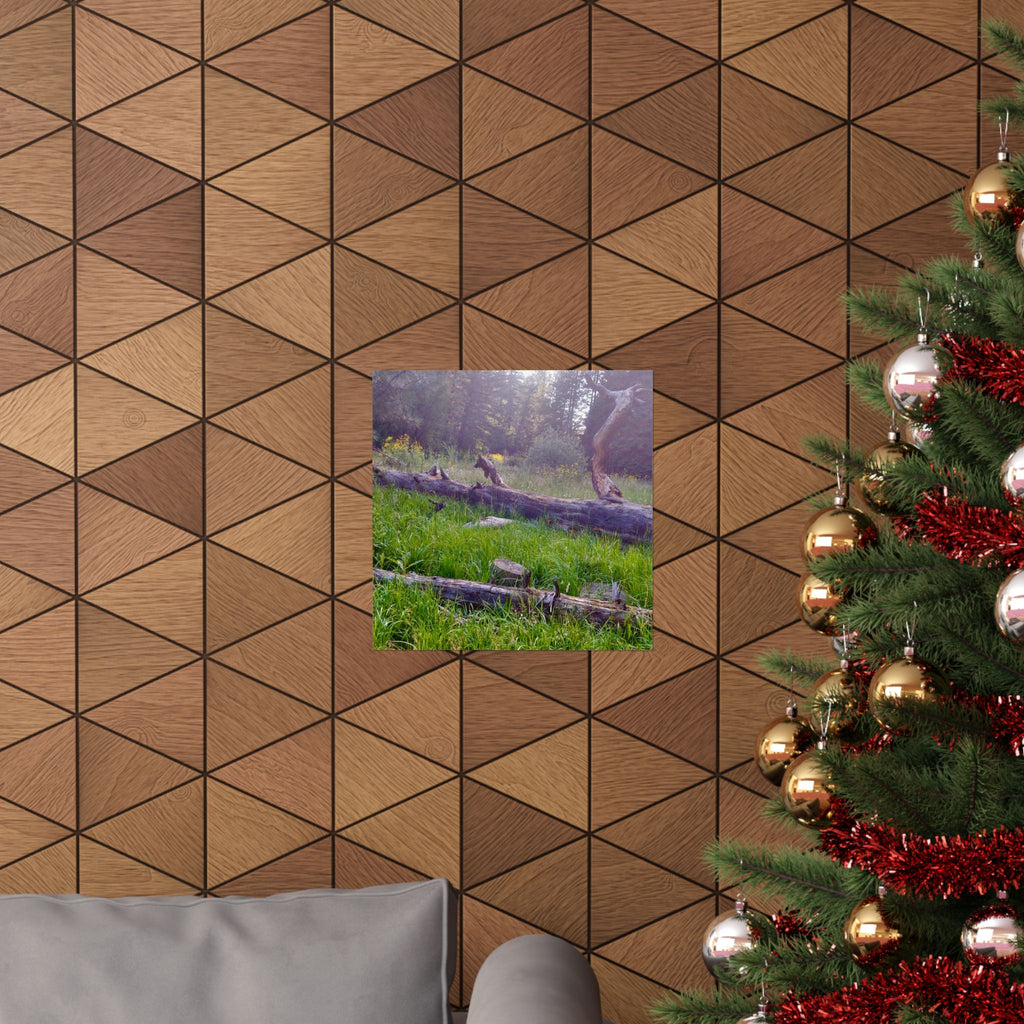 Nature-Inspired Matte Vertical Posters, Wall Art Decor, Forest Photo Prints, Home Aesthetic, Gift for Nature Lovers