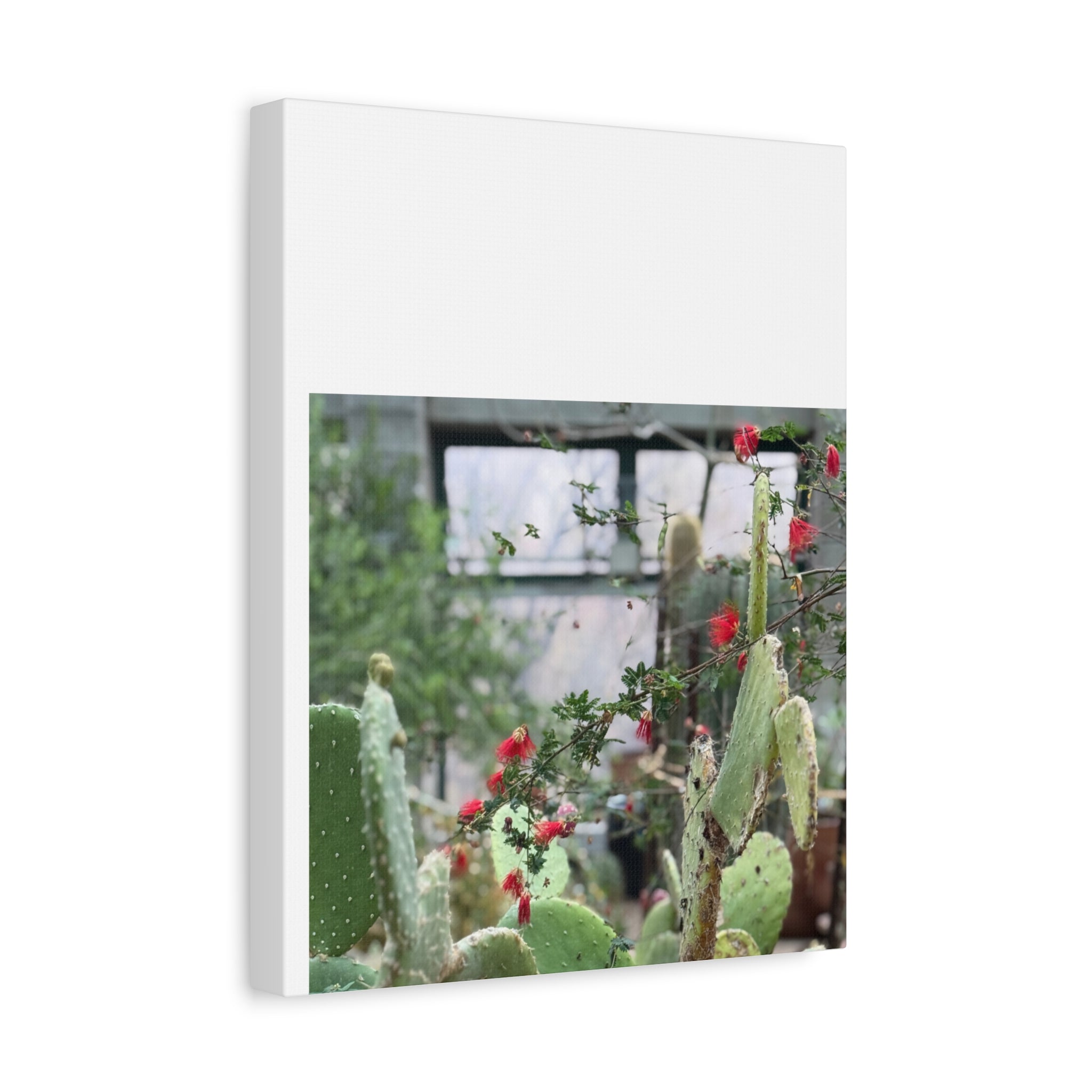 Cactus Wall Art Print, Nature Home Decor, Bohemian Style Artwork, Botanical Gift, Succulent Canvas