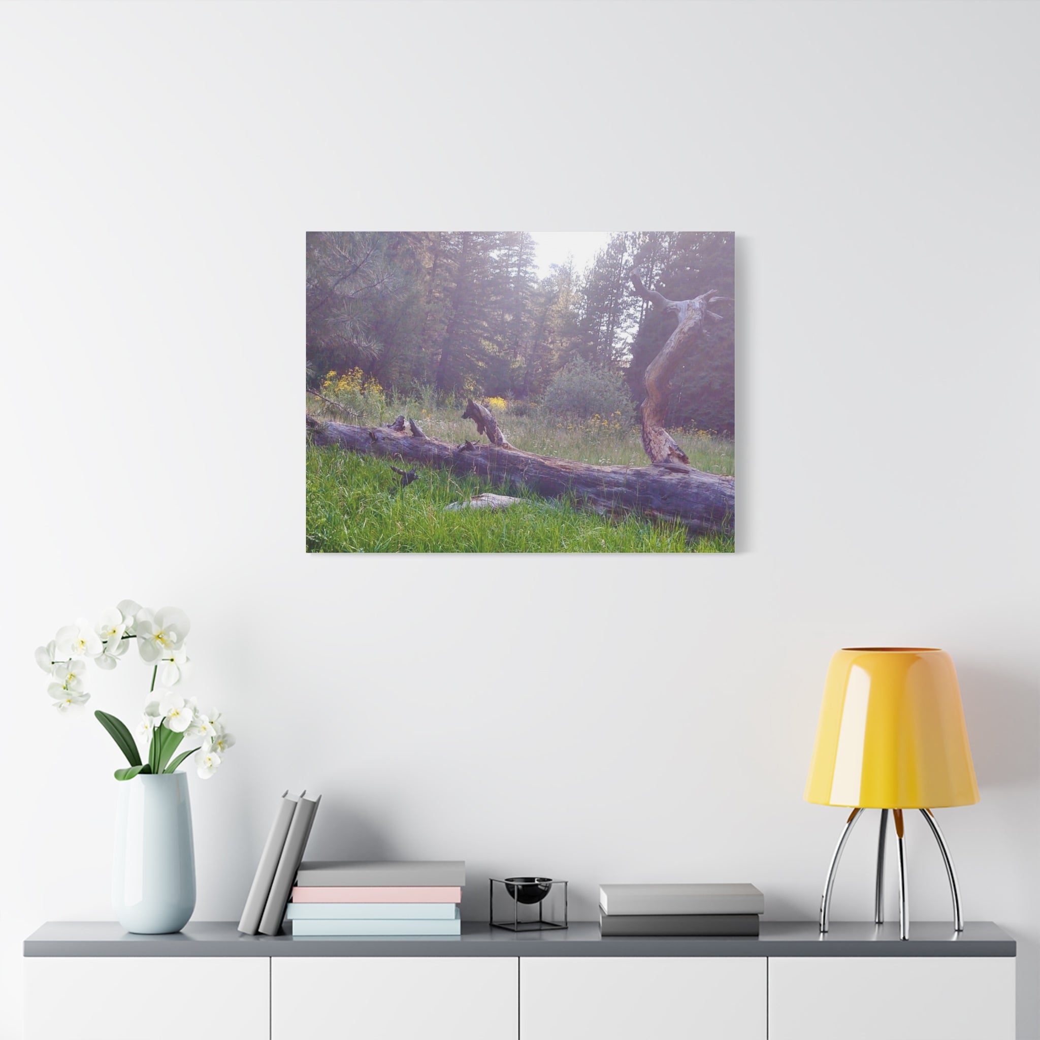 Matte Canvas Wall Art - Serene Nature Scene, Perfect for Home Decor, Gift for Nature Lovers, Office Wall Decoration, Rustic Art Print