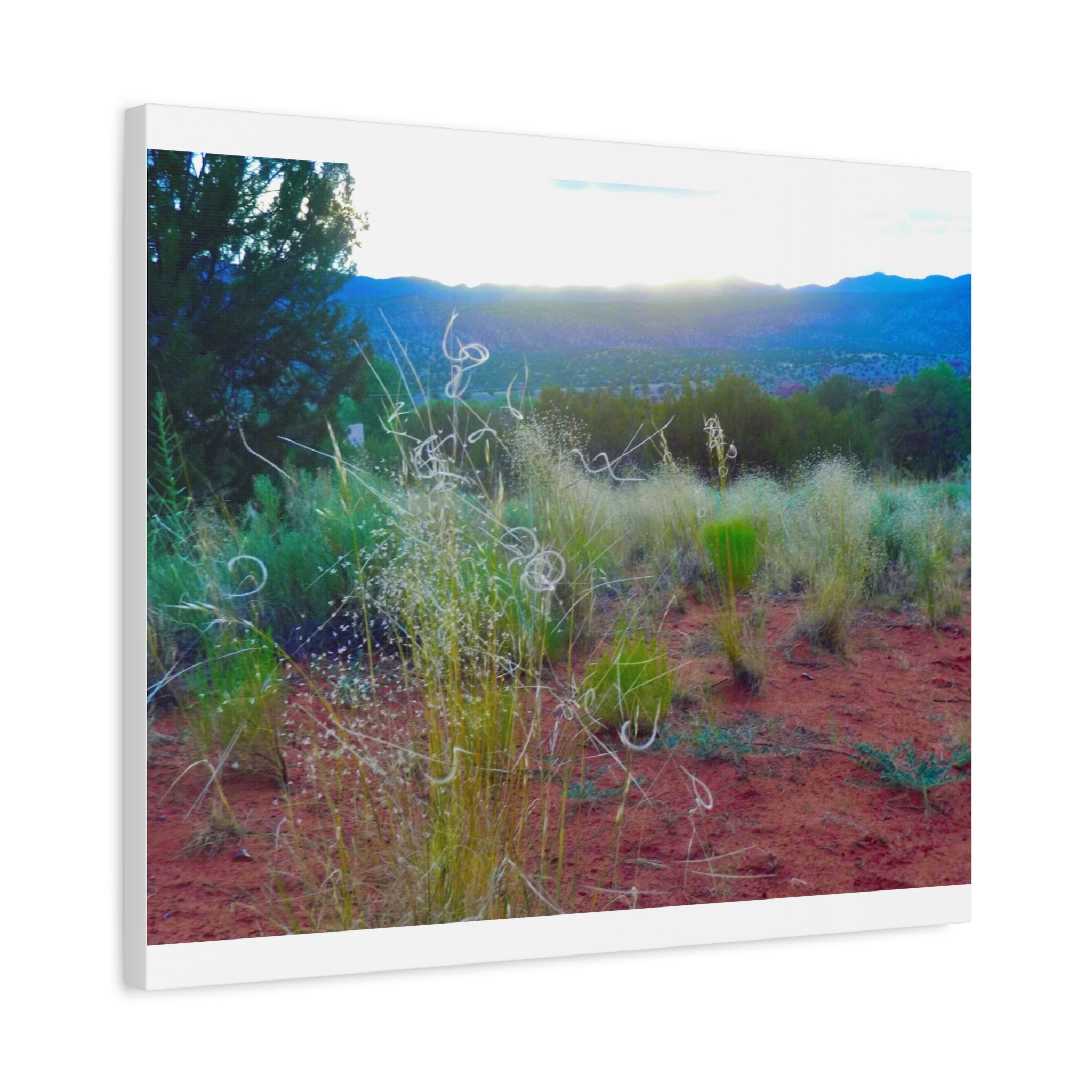 Stretched Canvas Art Print, Nature Wall Decor, Boho Home Decor, Rustic Landscape Art, Gift for Nature Lovers